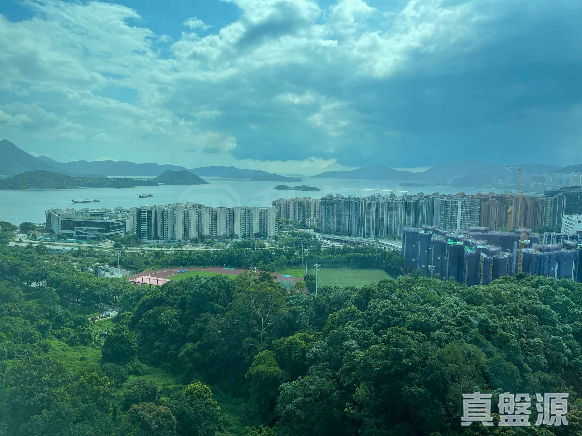 鹿茵山莊 鹿怡居 2座 極高層 B室 大埔