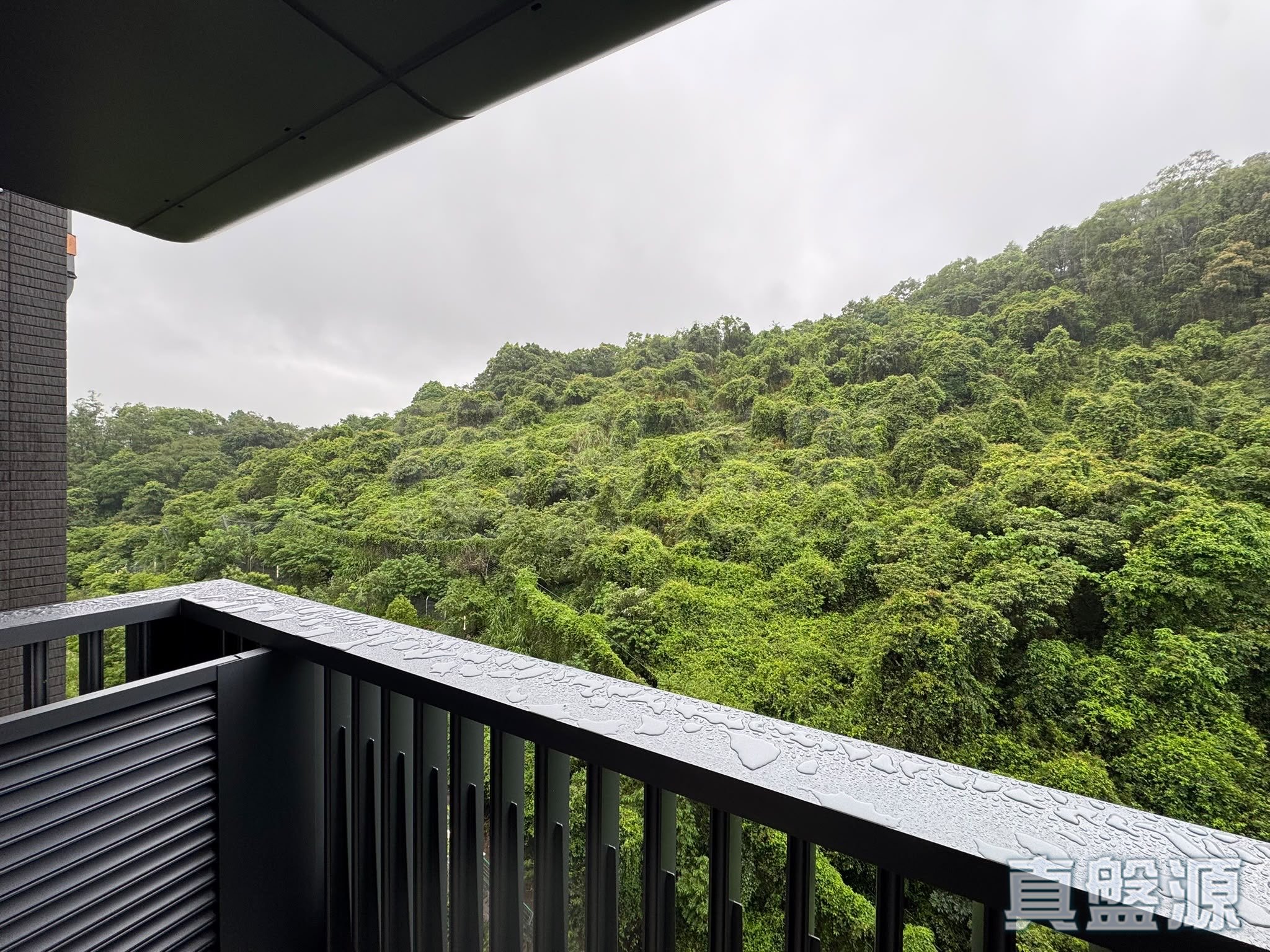 上然 3期 5座 极高层 D11室 大埔