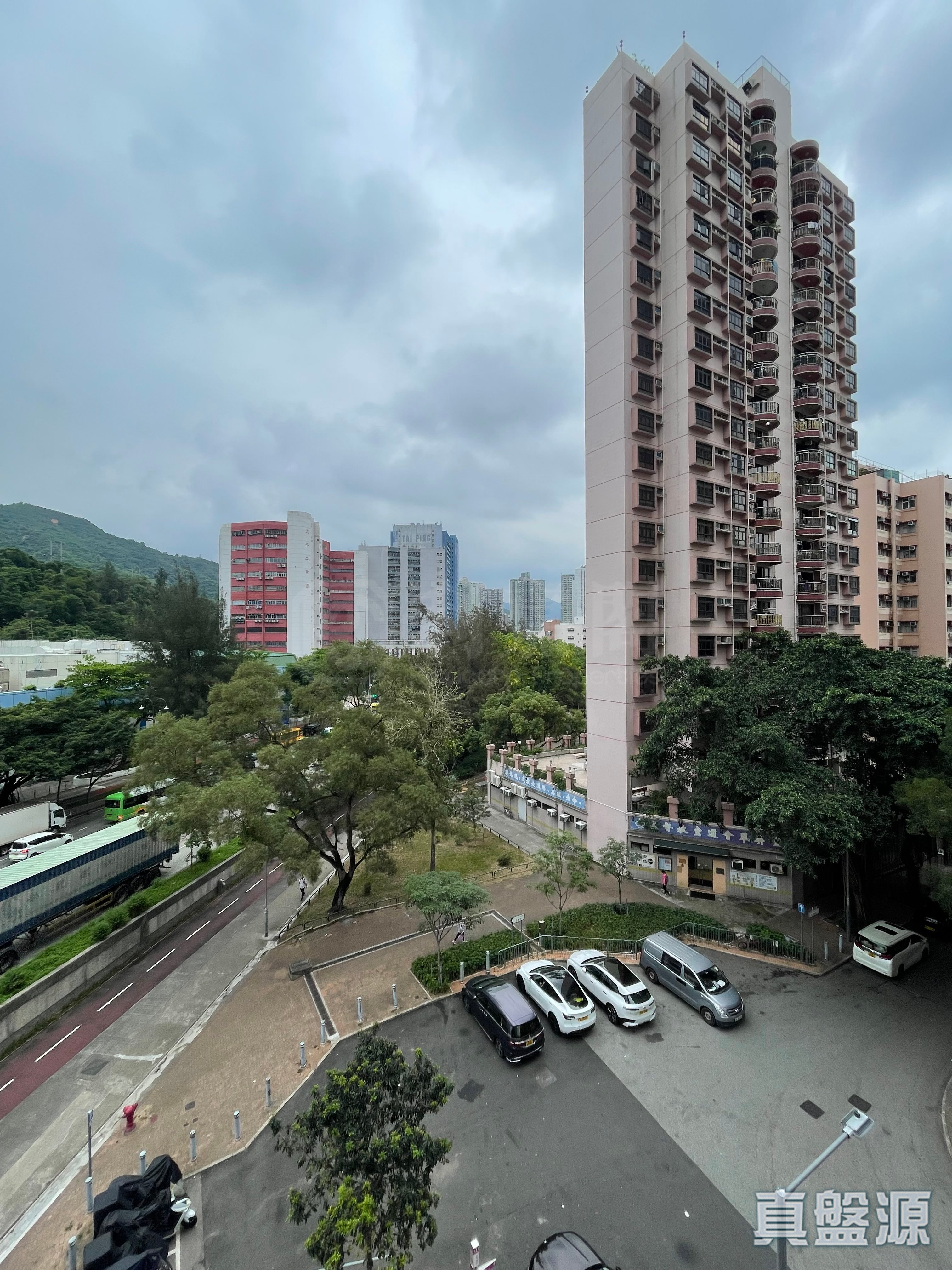 美豐花園 B座 低層 5室 大埔