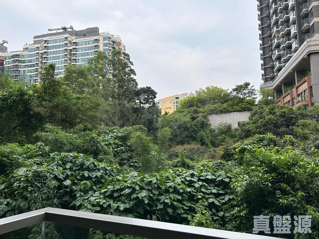 NAPA 6A座 低層 深井/青山公路