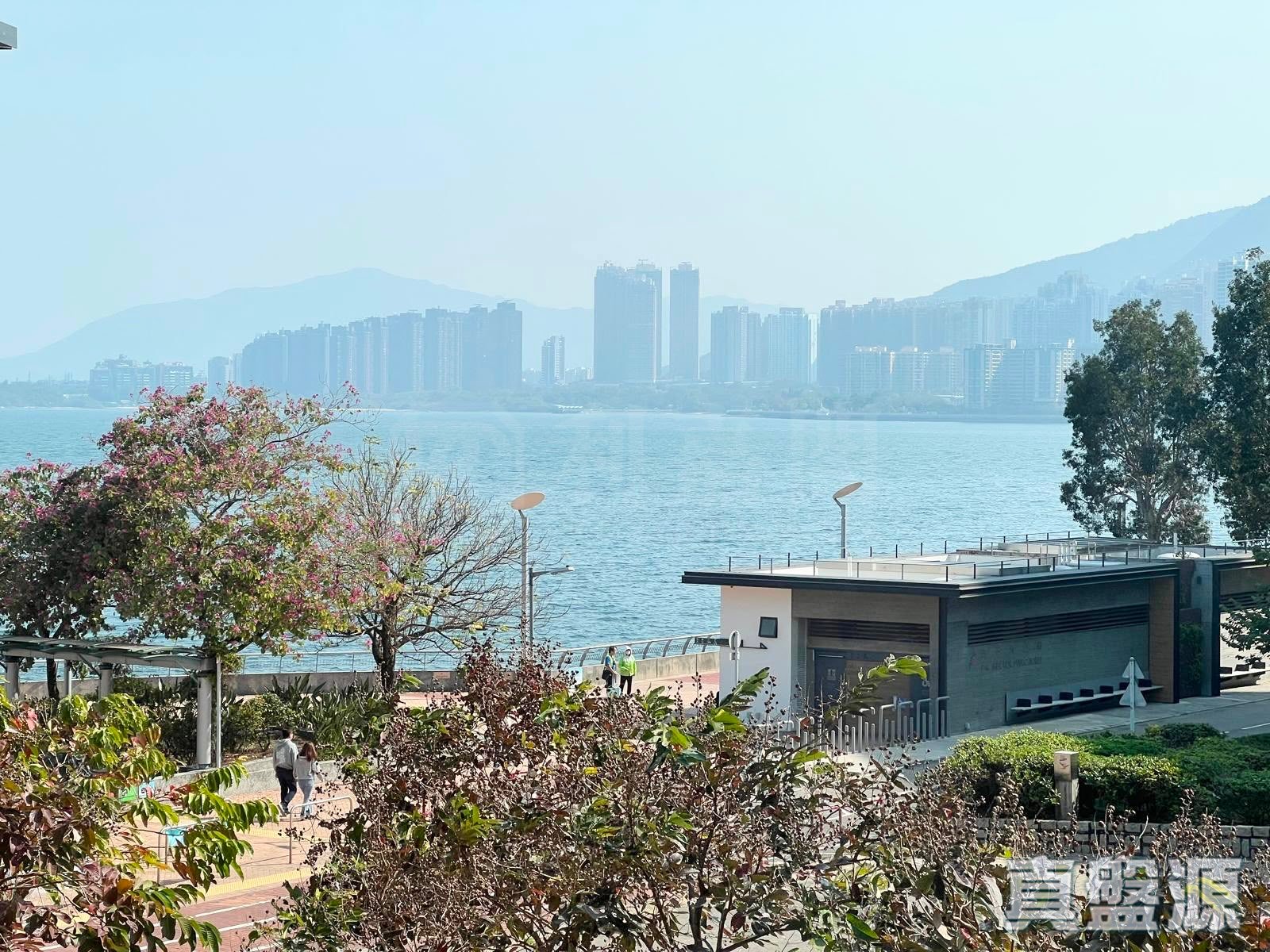 朗濤 1座 中層 大埔