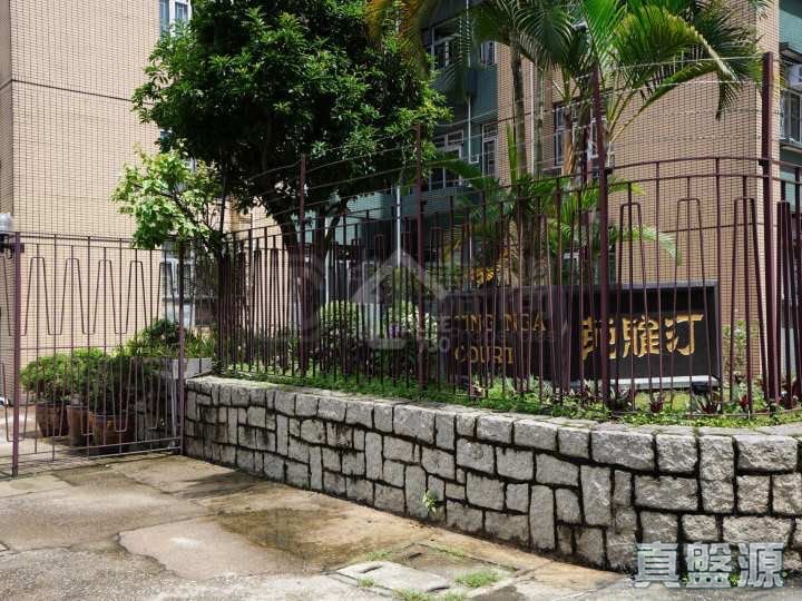 汀雅苑 雅文閣 (B座) 低層 7室 大埔