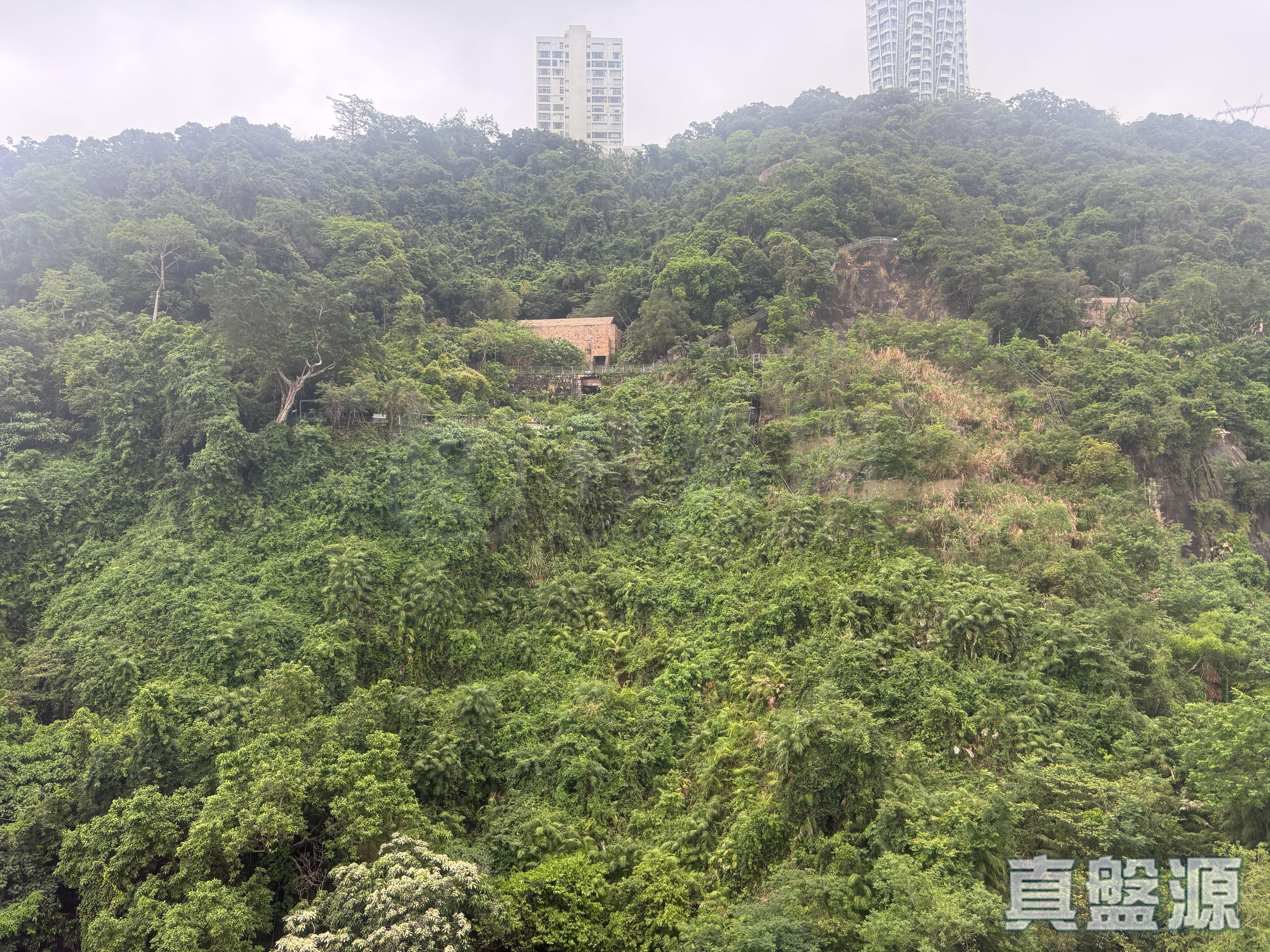 GRANDVIEW TOWER BLOCK A High Floor Zone Flat 4 Mid-Levels