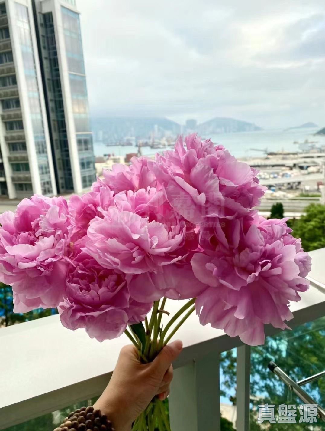 汇玺 3期 汇玺II 3A座 低层 B室 奥运站/南昌