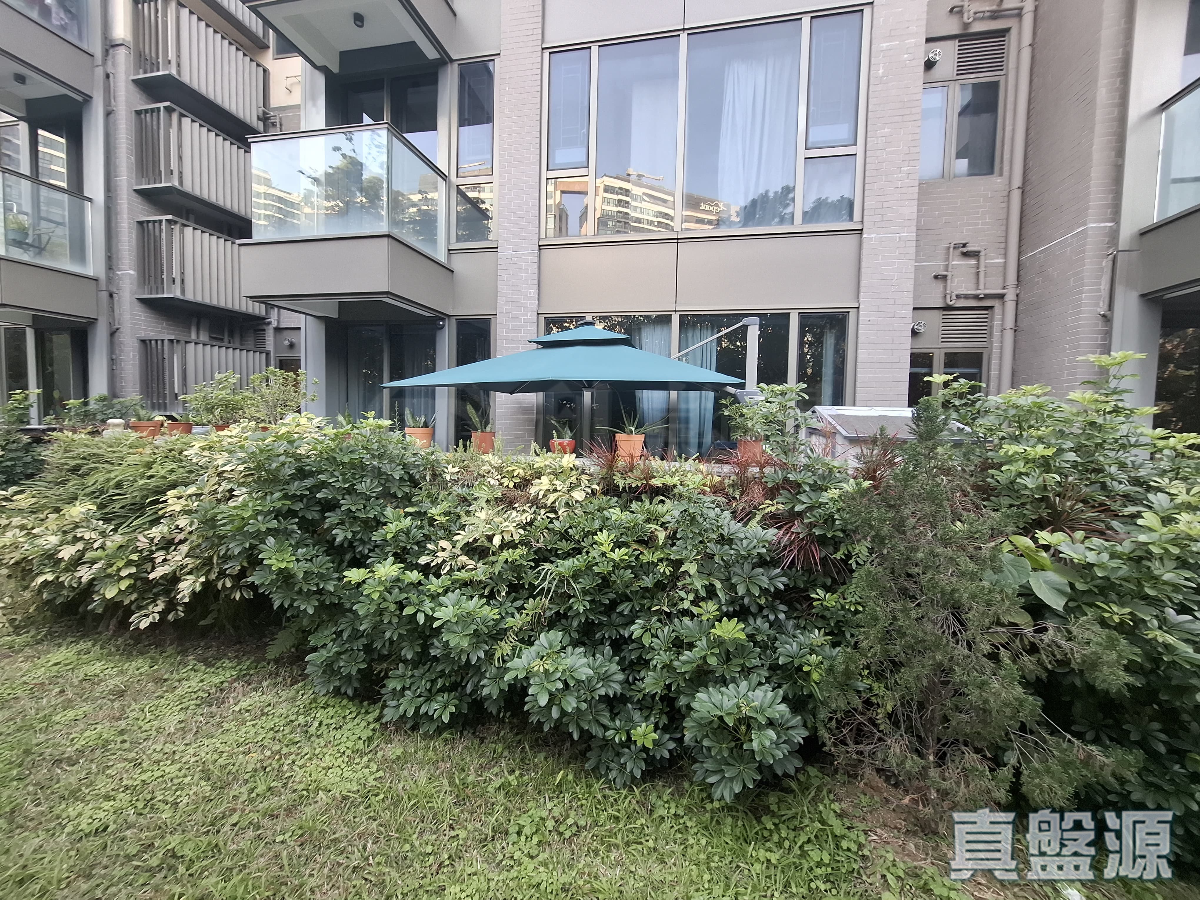 NAPA 5A座 低層 深井/青山公路
