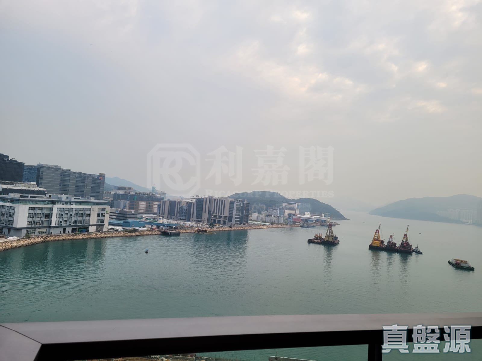 日出康城 9期A MARINI 3座 (3B) 低層 A室 將軍澳