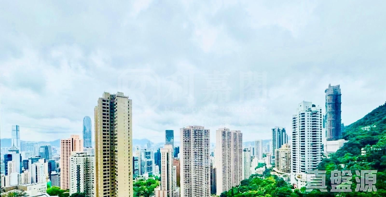 嘉富麗苑 1座 中層 A室 中半山