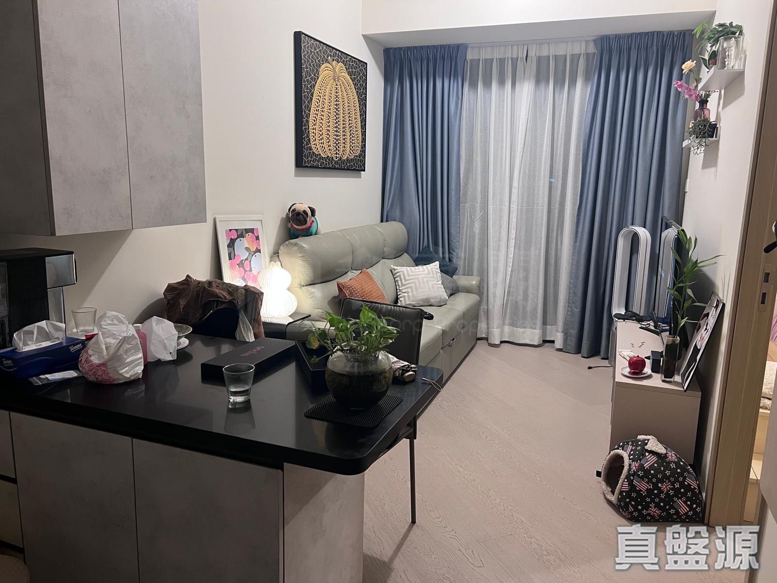维港1号 1B座 中层 D室 土瓜湾/九龙城/新启德/新蒲岗