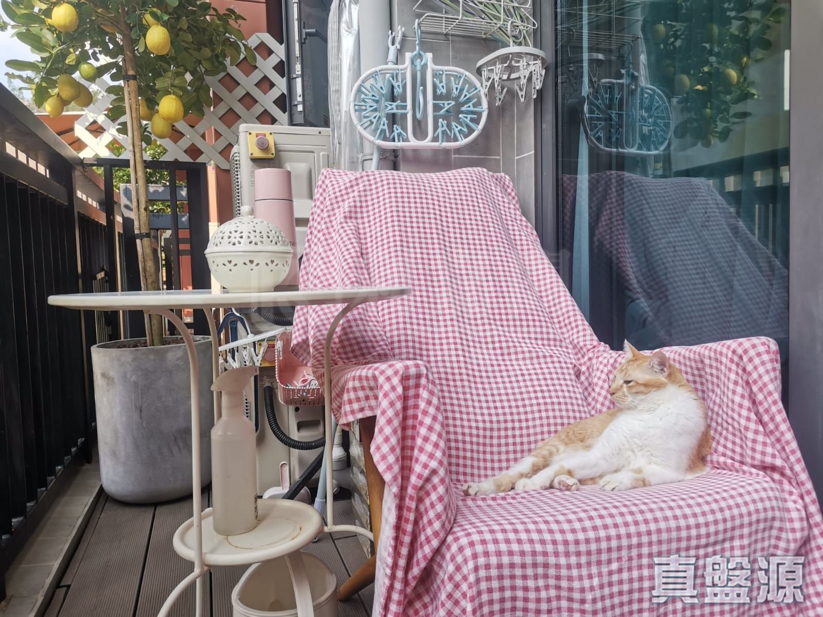 隽睿 2座 中层 何文田/京士柏/九龙塘/又一村