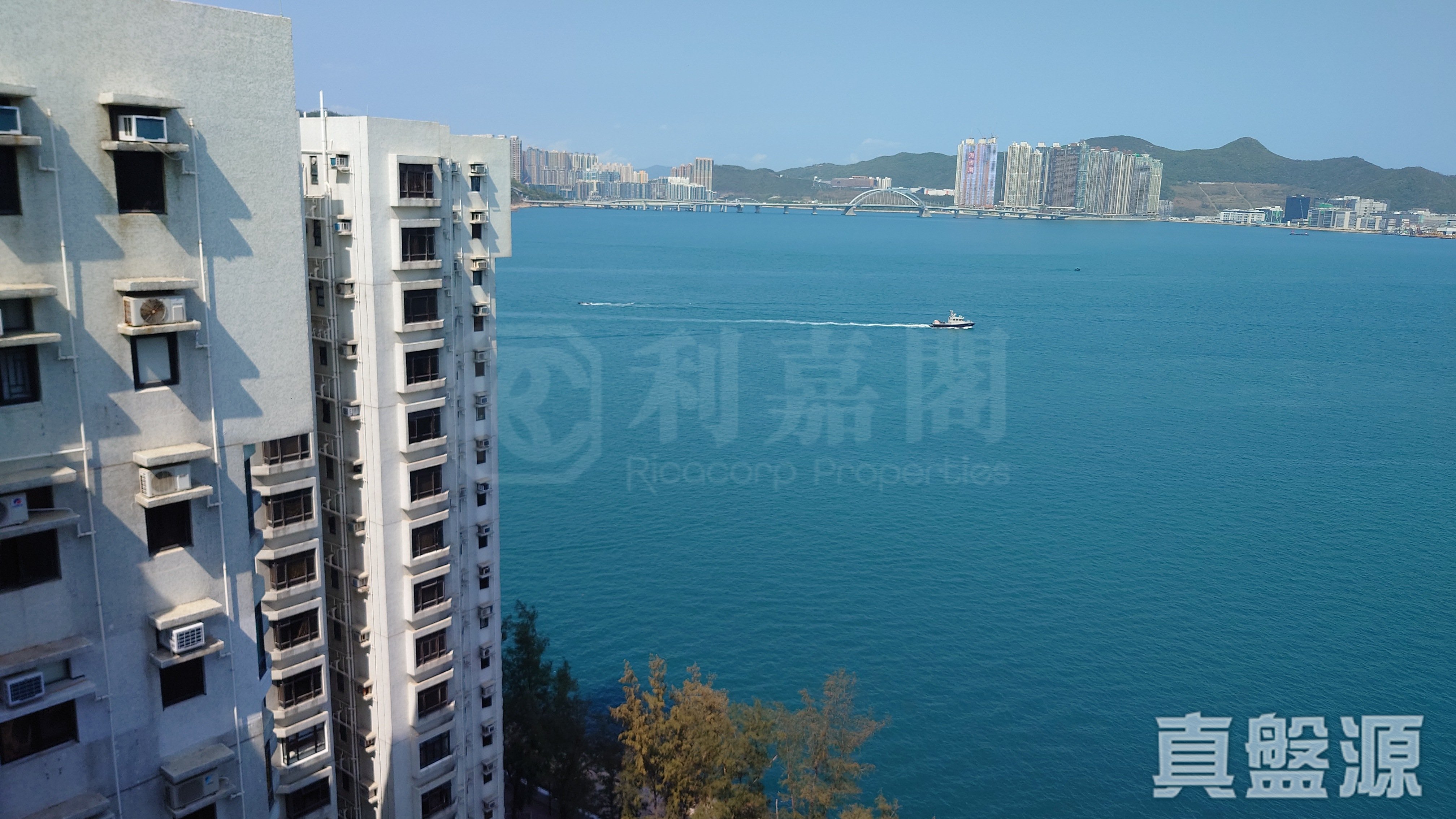 杏花邨 45座 極高層 2室 杏花邨/藍灣半島/柴灣