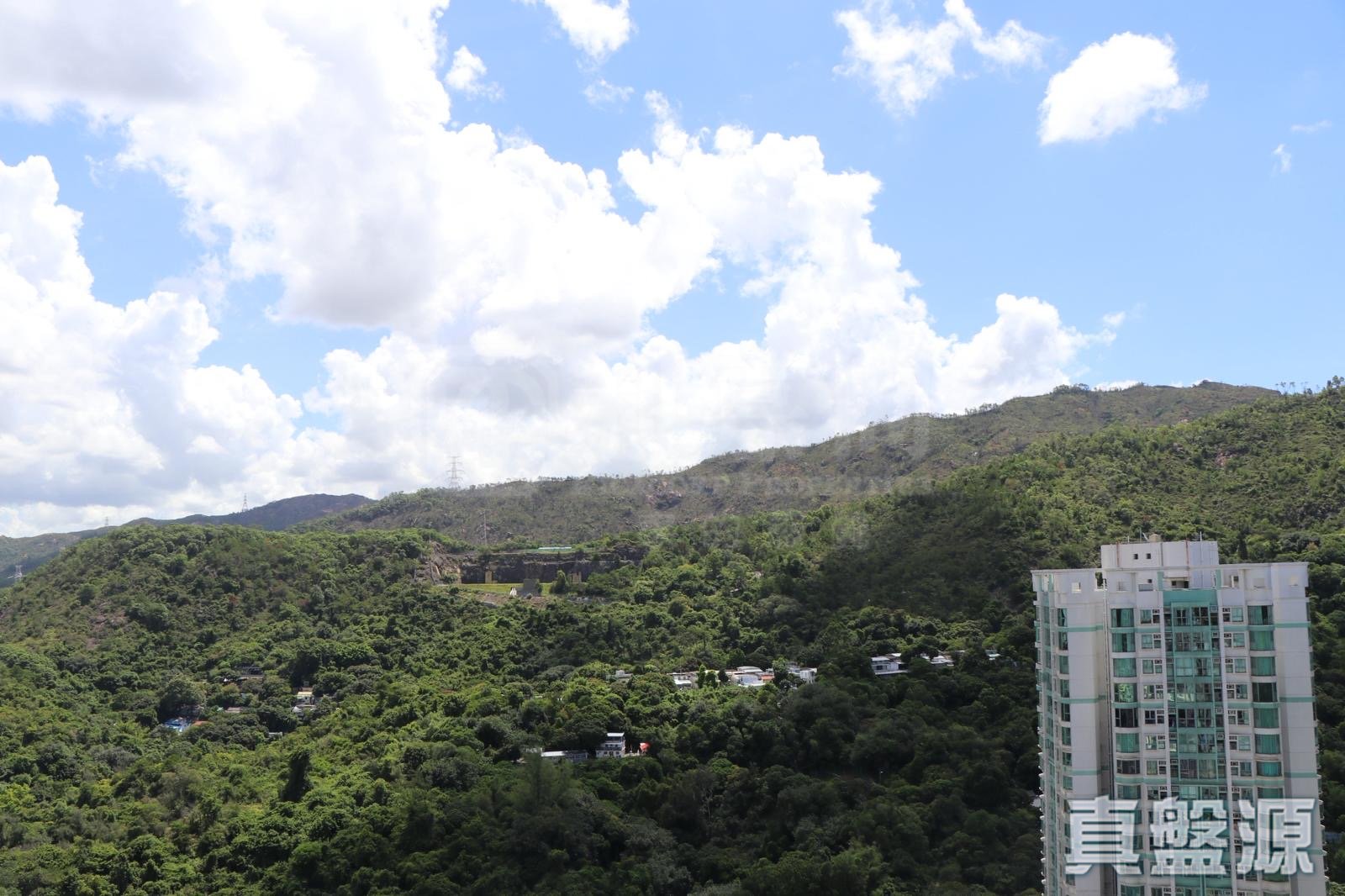 御半山 1期 1B座 极高层 E室 屯门