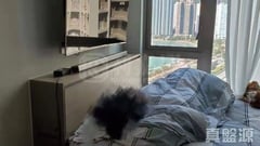 全.城匯 5座 高層 D室 荃灣