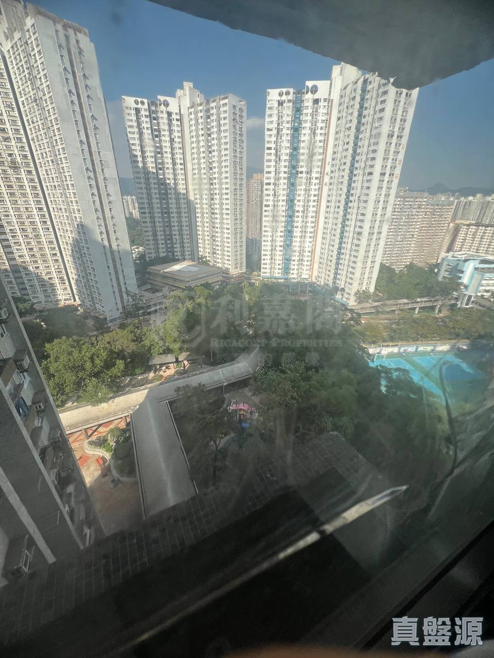 青華苑 華翔閣 (F座) 中層 01室 青衣