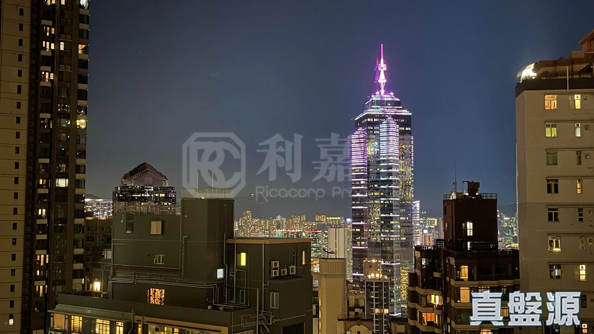 THE RICHMOND 高层 C室 西半山