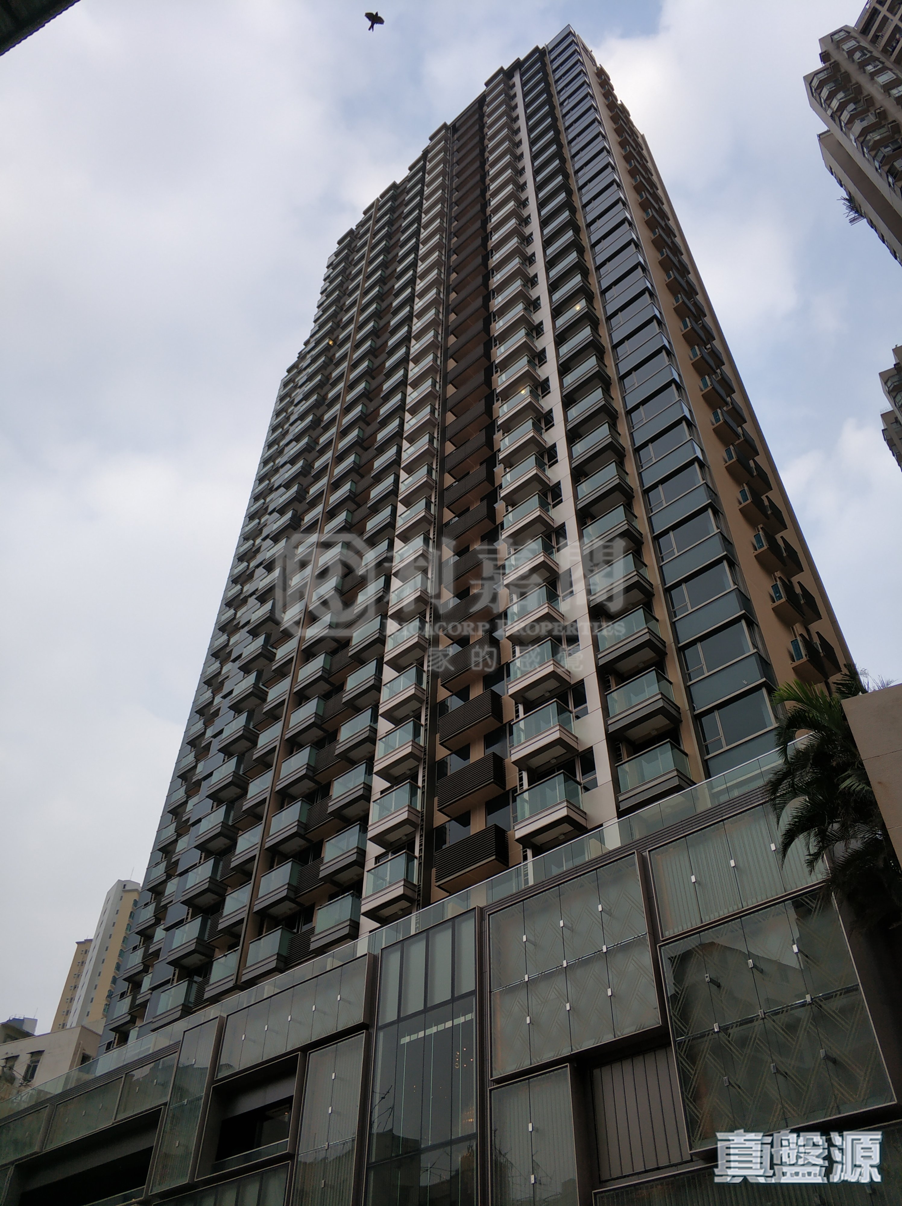 環海．東岸 土瓜灣/九龍城/新啟德/新蒲崗