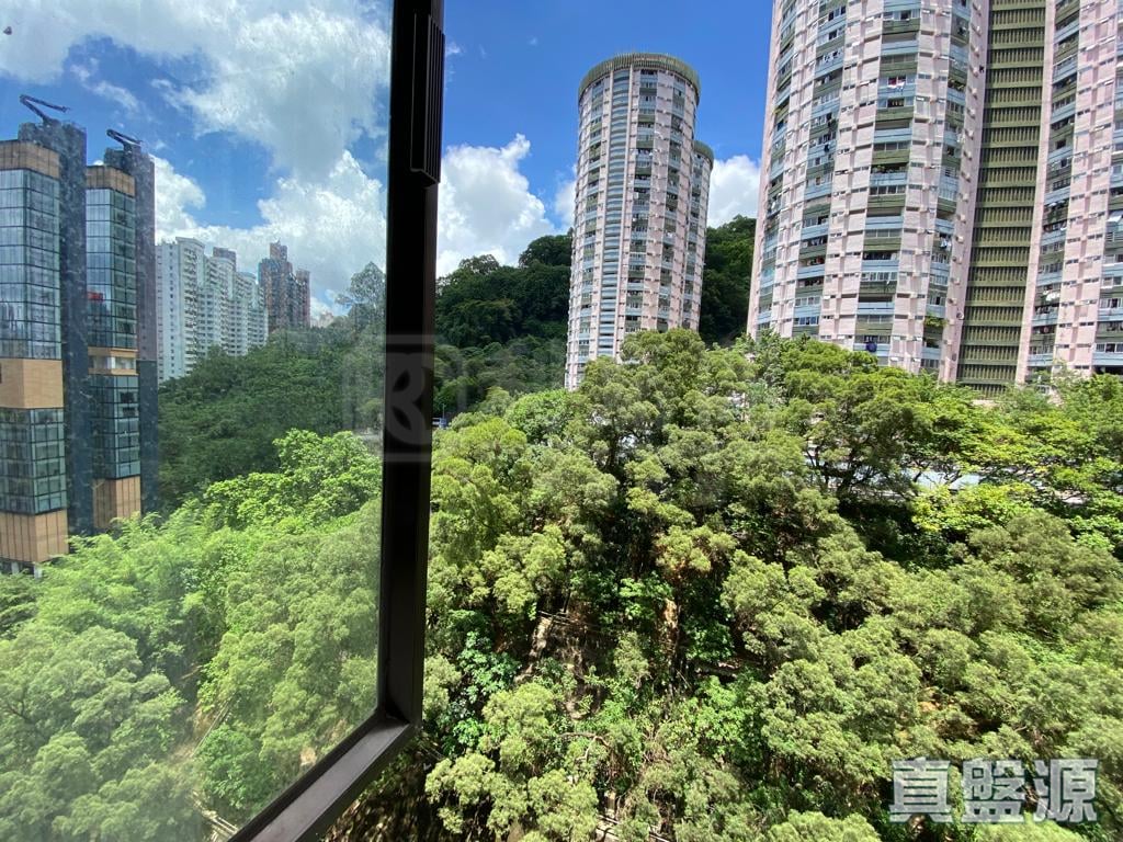 龍濤苑 2座 高層 C室 跑馬地/東半山