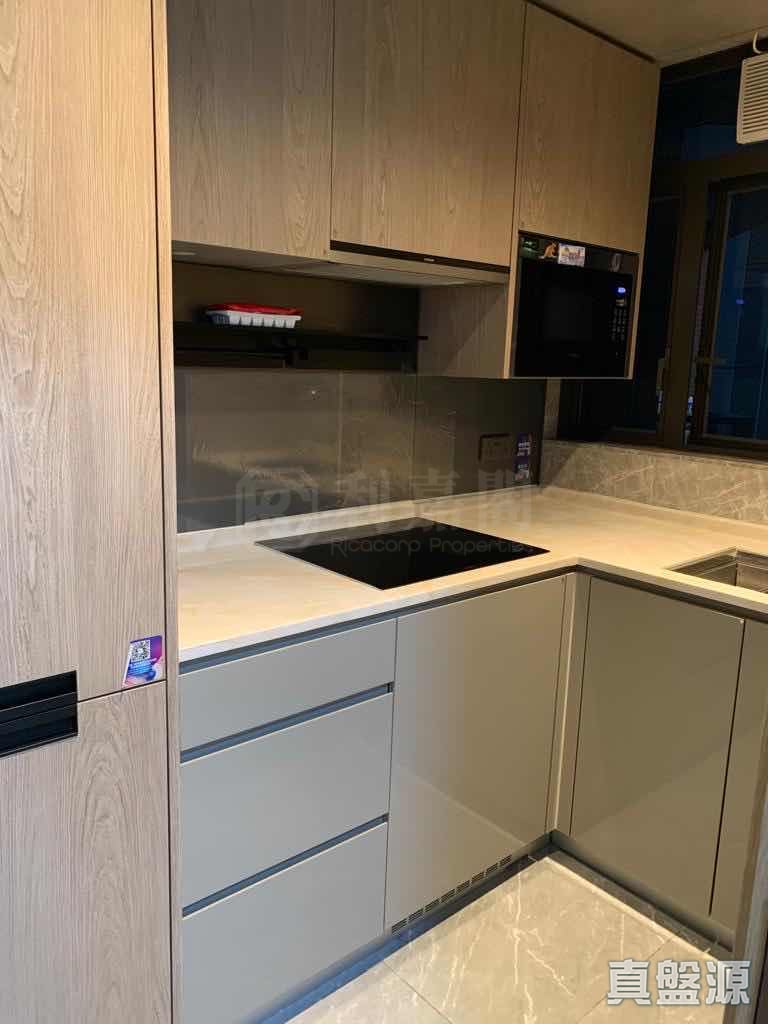 日出康城 4期A 晉海 1A座 高層 E室 將軍澳