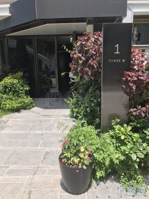 MOUNT PAVILIA High Floor Zone Sai Kung/Clear Water Bay