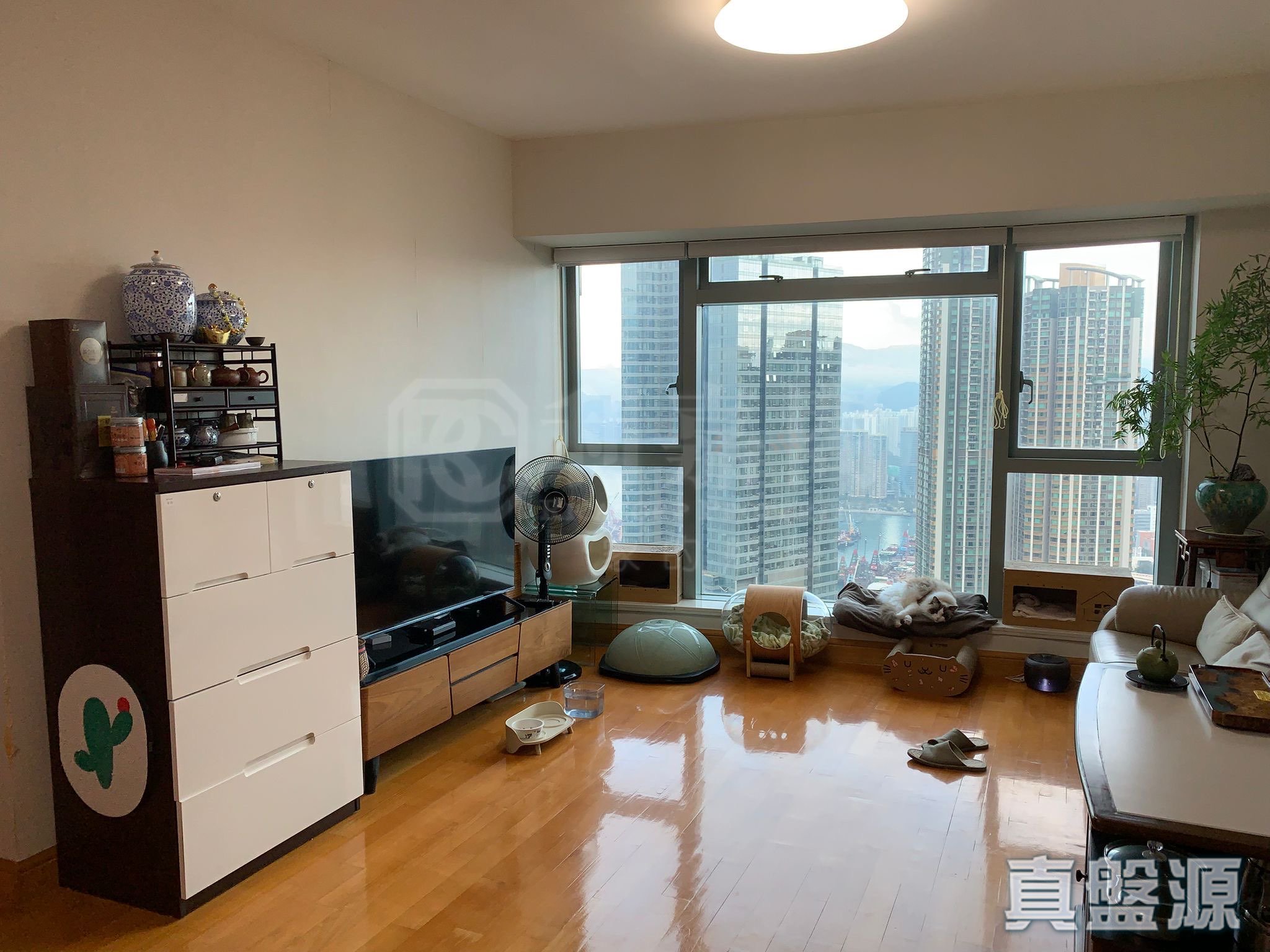 君临天下 1座 高层 E室 九龙站/尖沙咀/佐敦