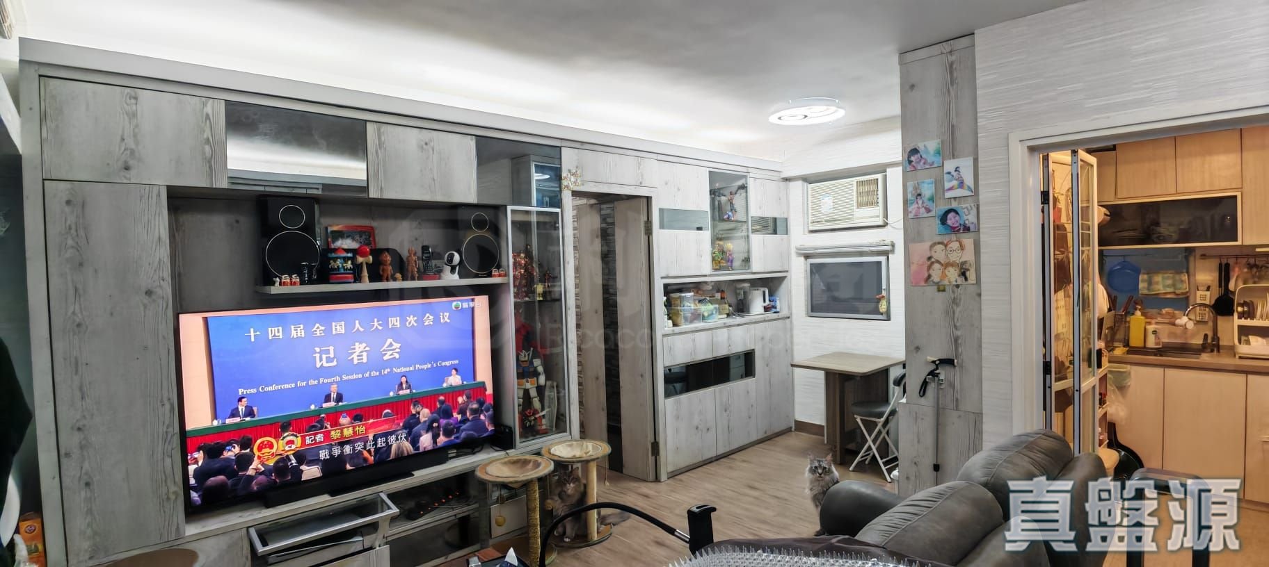 绿悠轩 4座 极高层 G室 上水/粉岭/古洞