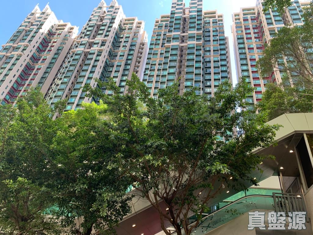 牵晴间 3座 低层 F室 上水/粉岭/古洞