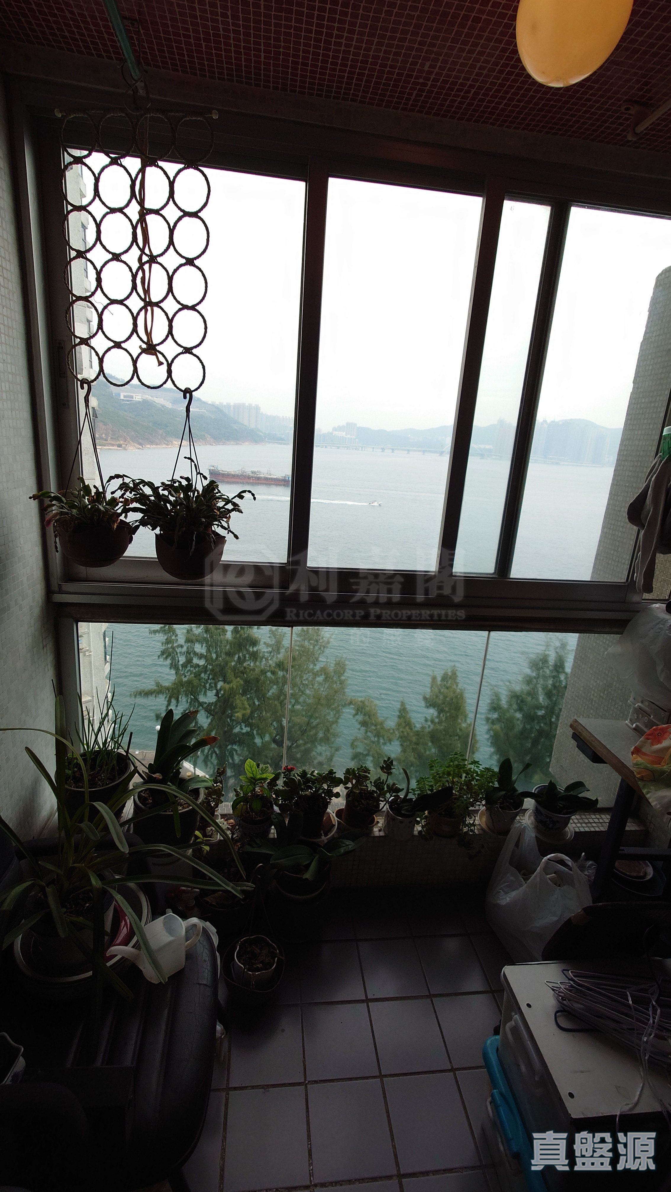 杏花邨 22座 高層 2室 杏花邨/藍灣半島/柴灣