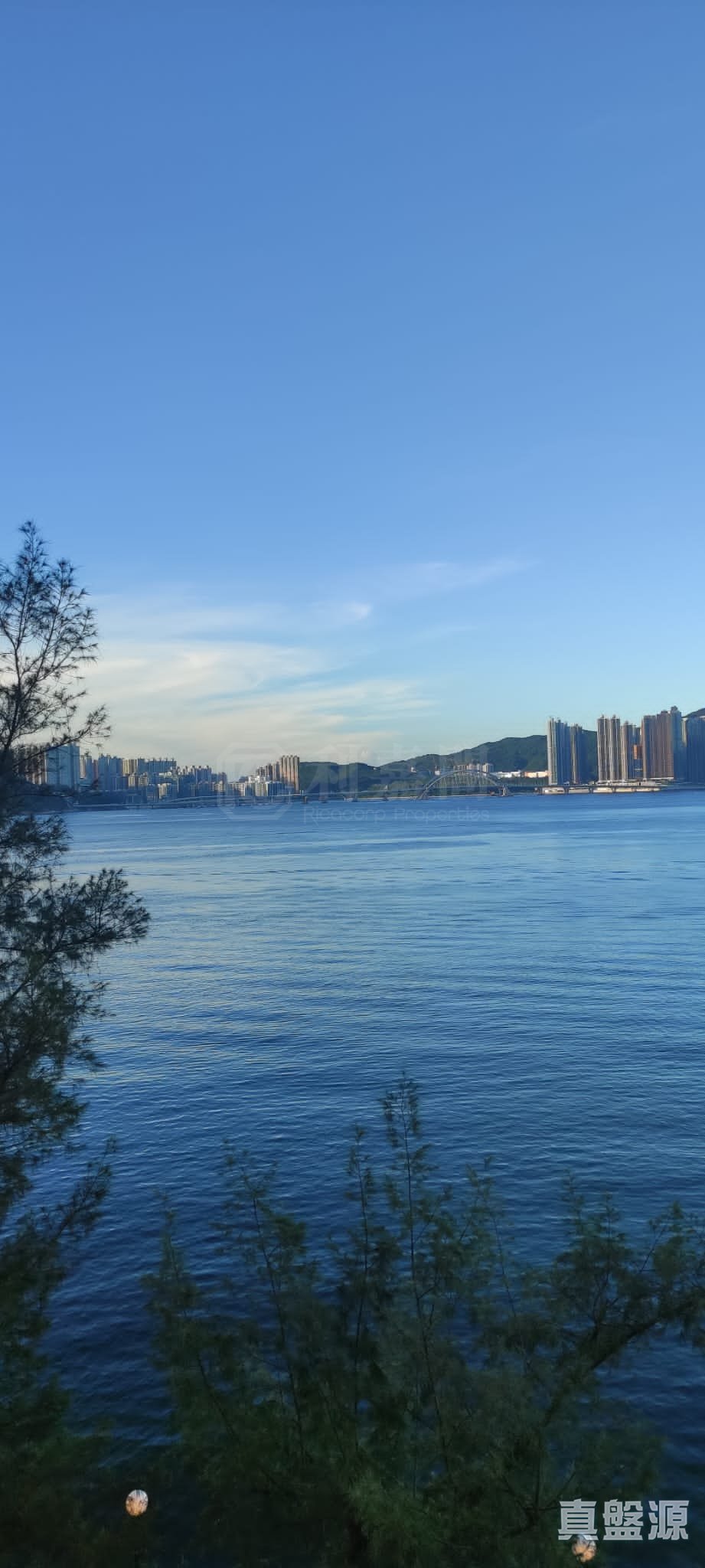 杏花邨 49座 中层 1室 杏花邨/蓝湾半岛/柴湾