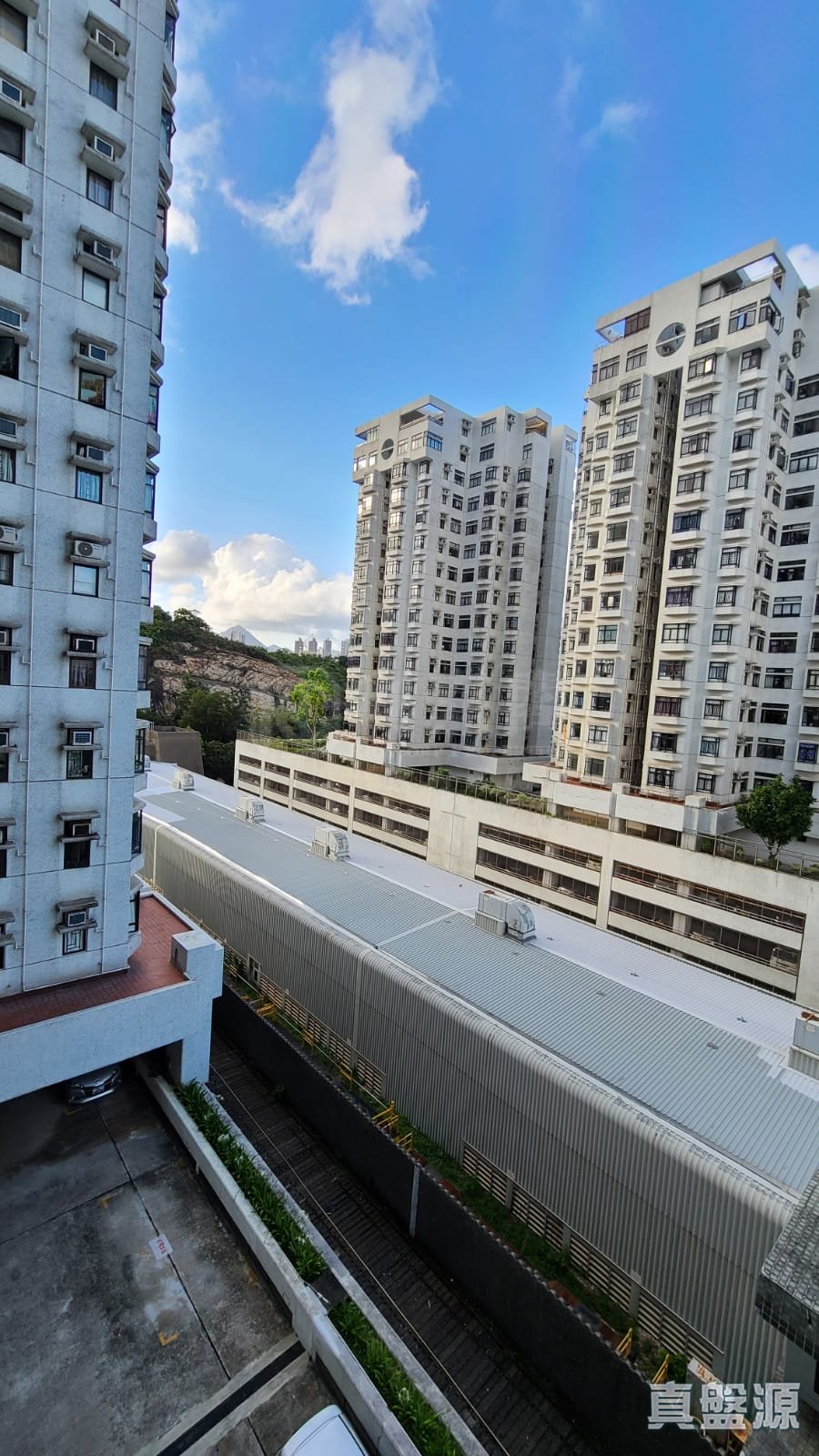 杏花邨 9座 中層 8室 杏花邨/藍灣半島/柴灣