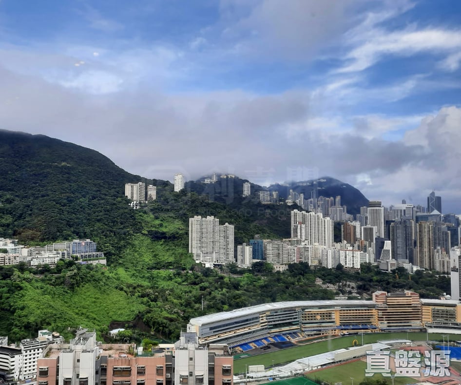 乐陶苑 C座 极高层 07室 跑马地/东半山