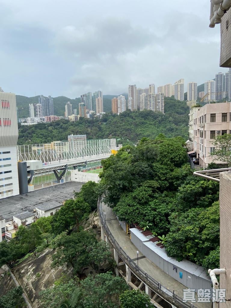 汇翠台 2座 中层 跑马地/东半山