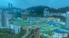 礼顿山 7座 中层 A室 跑马地/东半山