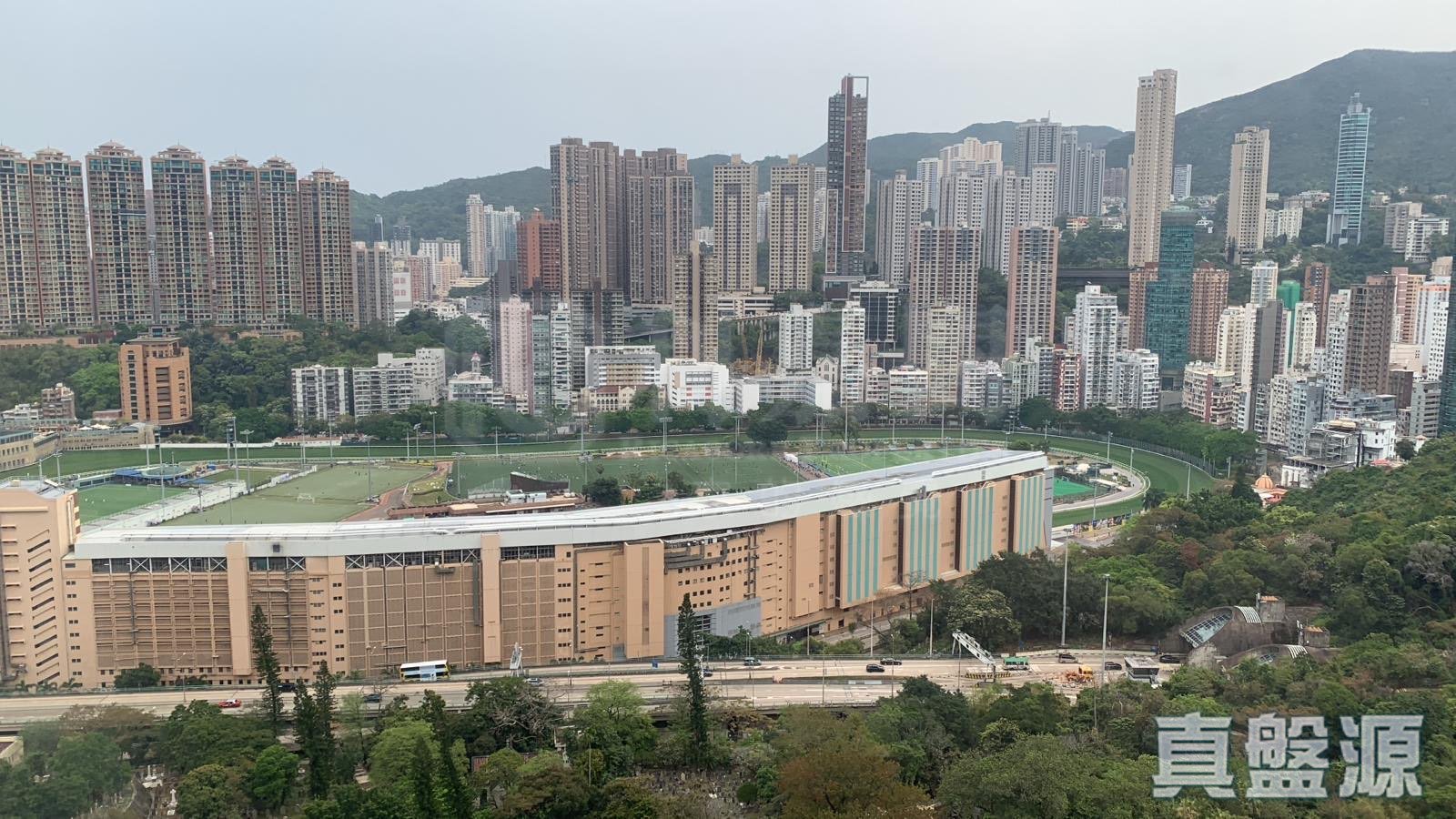 嘉苑 B座 高层 01室 跑马地/东半山