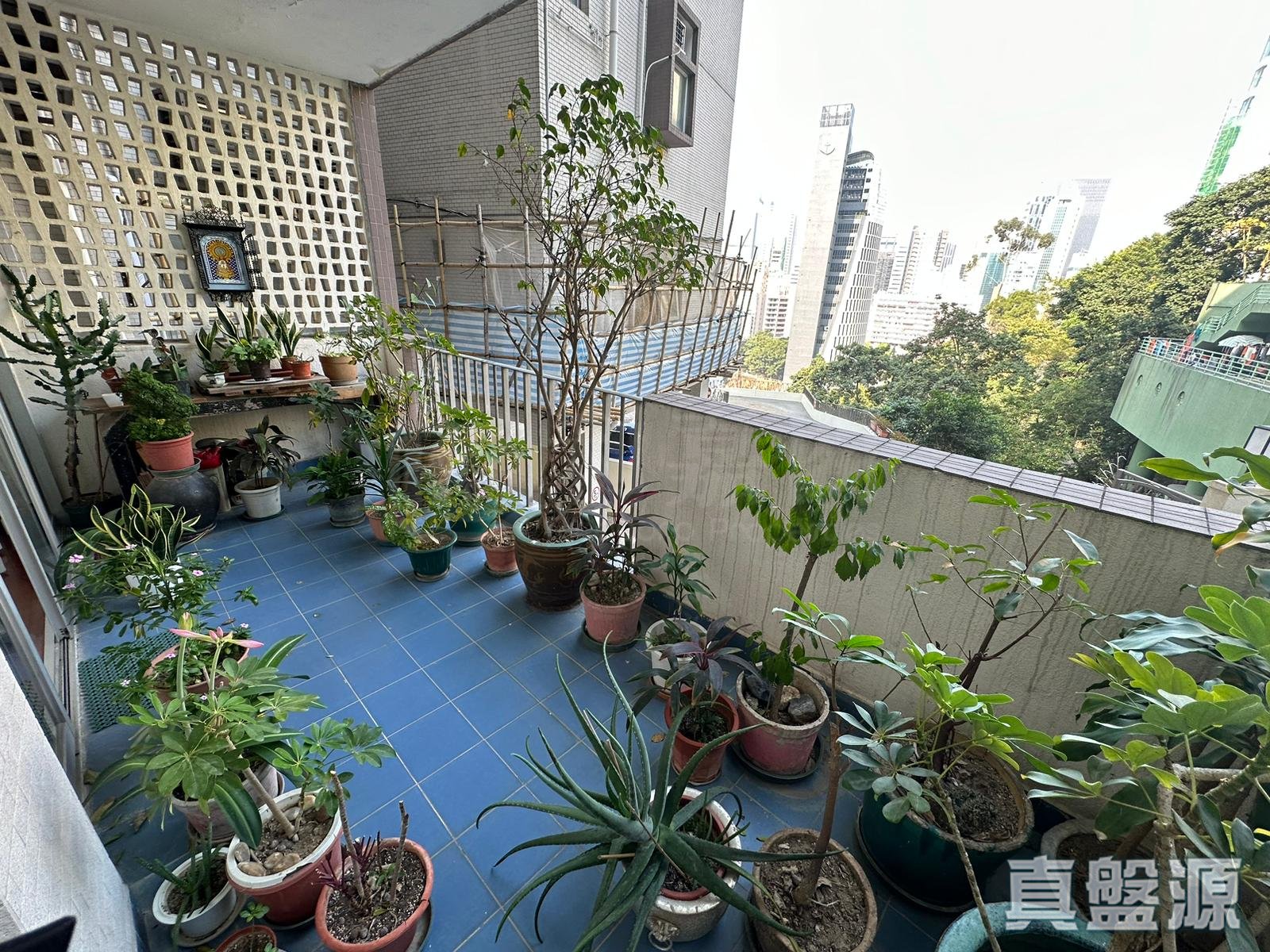 腾黄阁 低层 跑马地/东半山