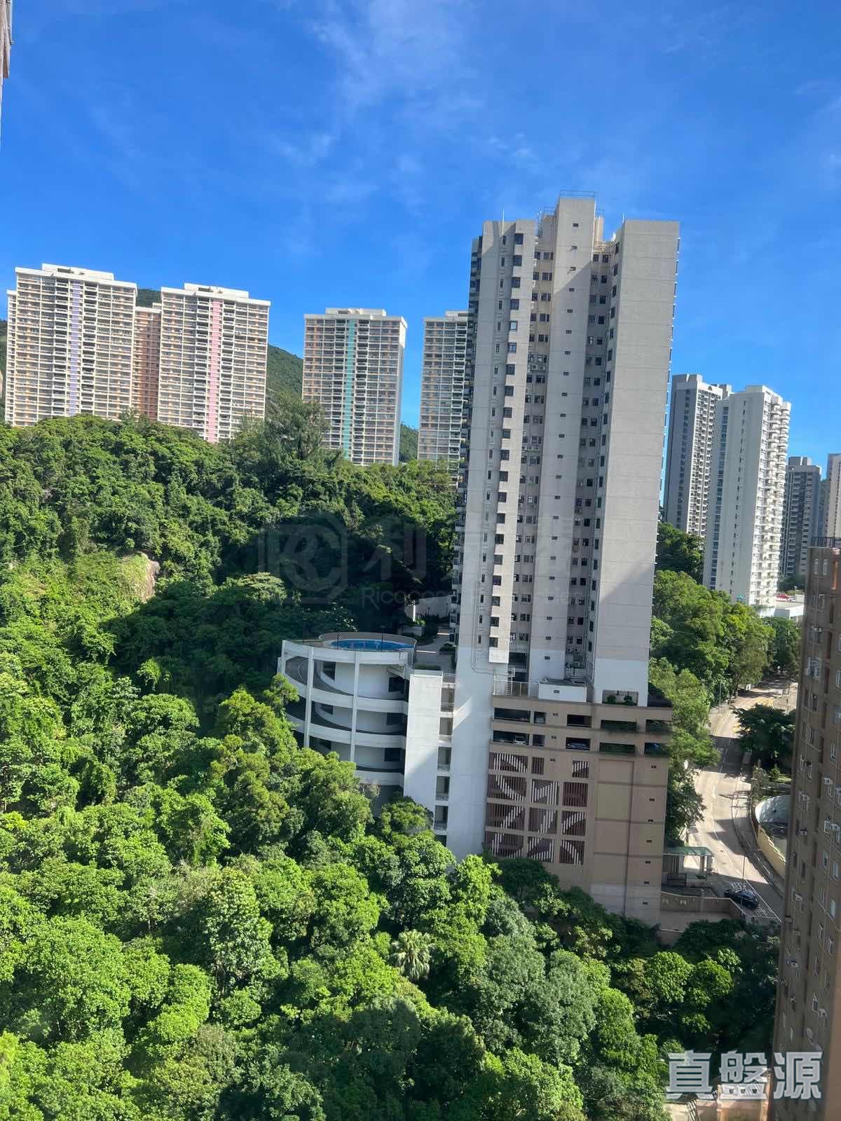 嘉景臺 極高層 B室 跑馬地/東半山