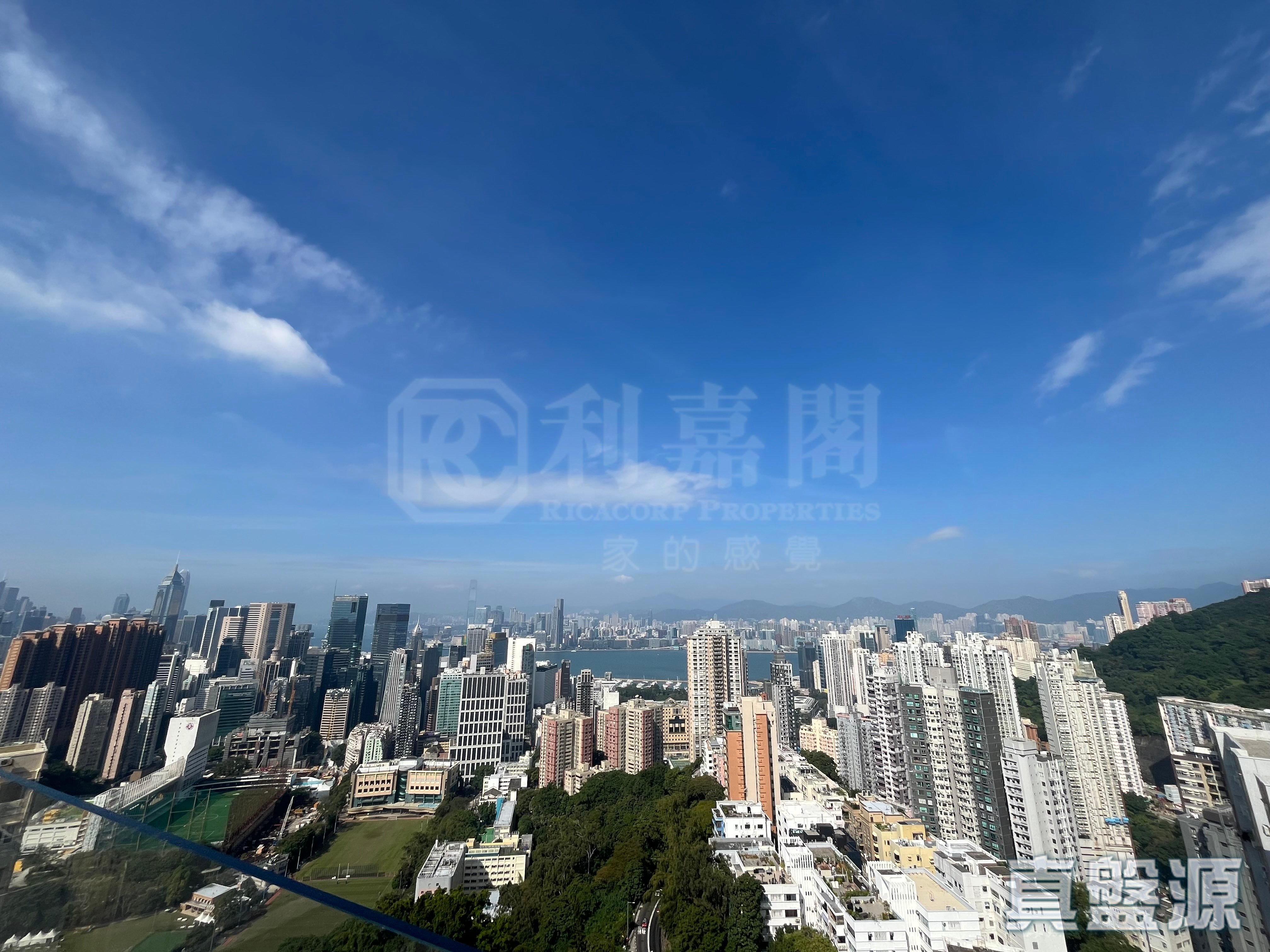 柏园 极高层 D室 跑马地/东半山