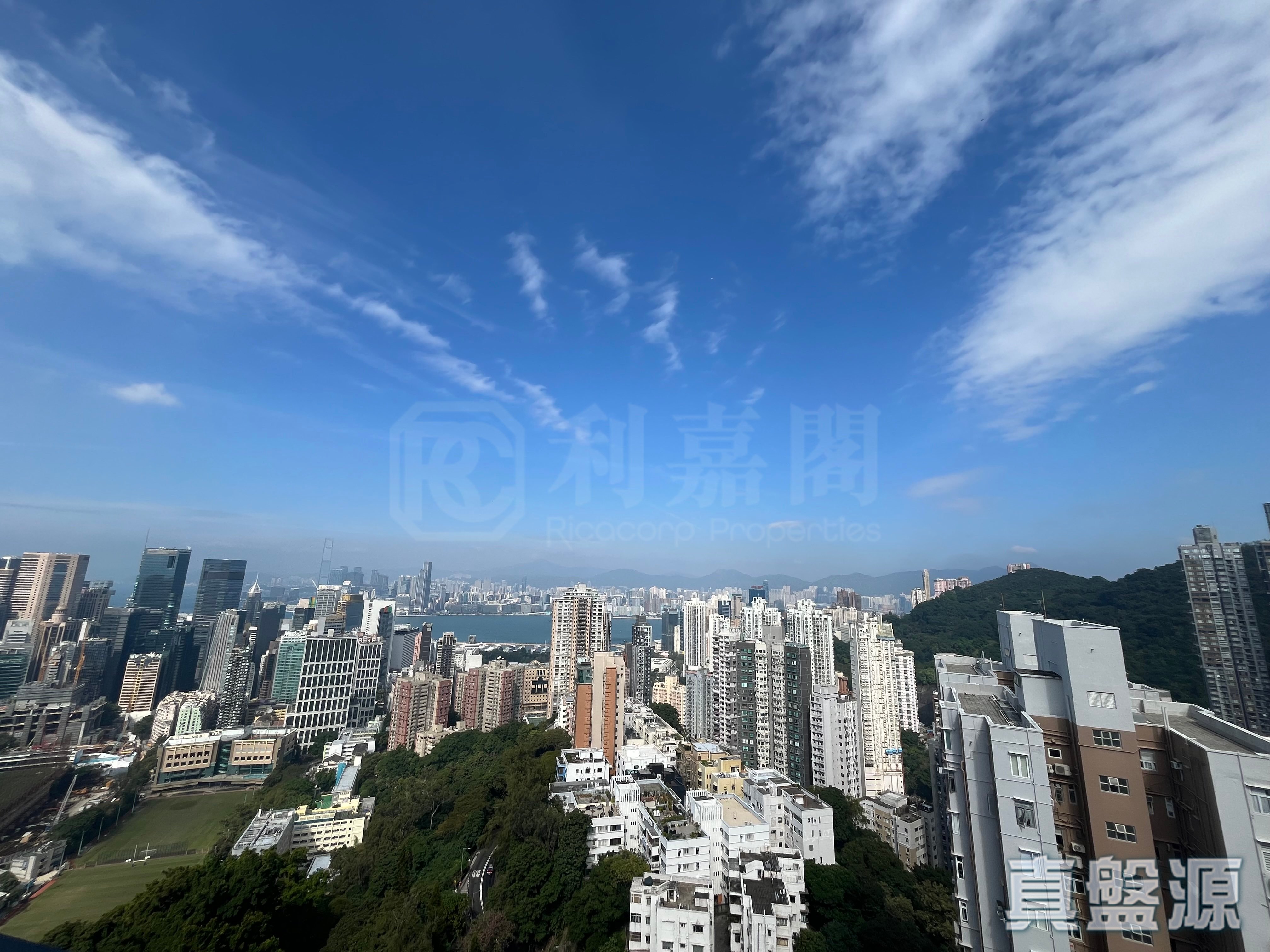 柏园 极高层 D室 跑马地/东半山