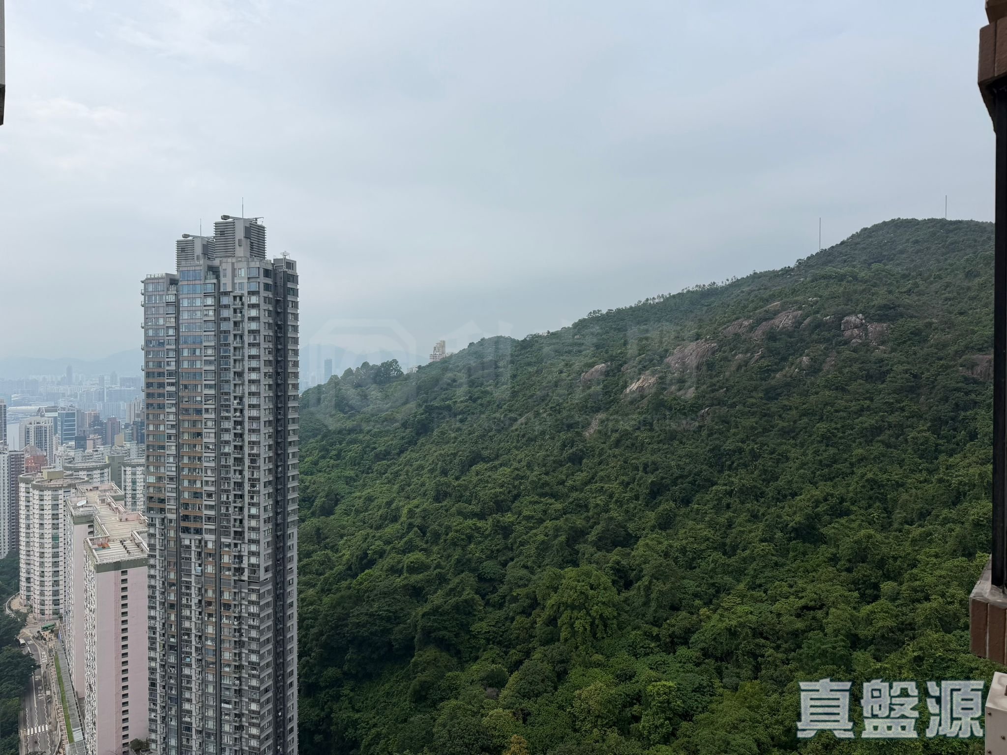 龍華花園 2座 極高層 B室 跑馬地/東半山
