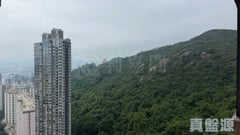 龍華花園 2座 極高層 B室 跑馬地/東半山