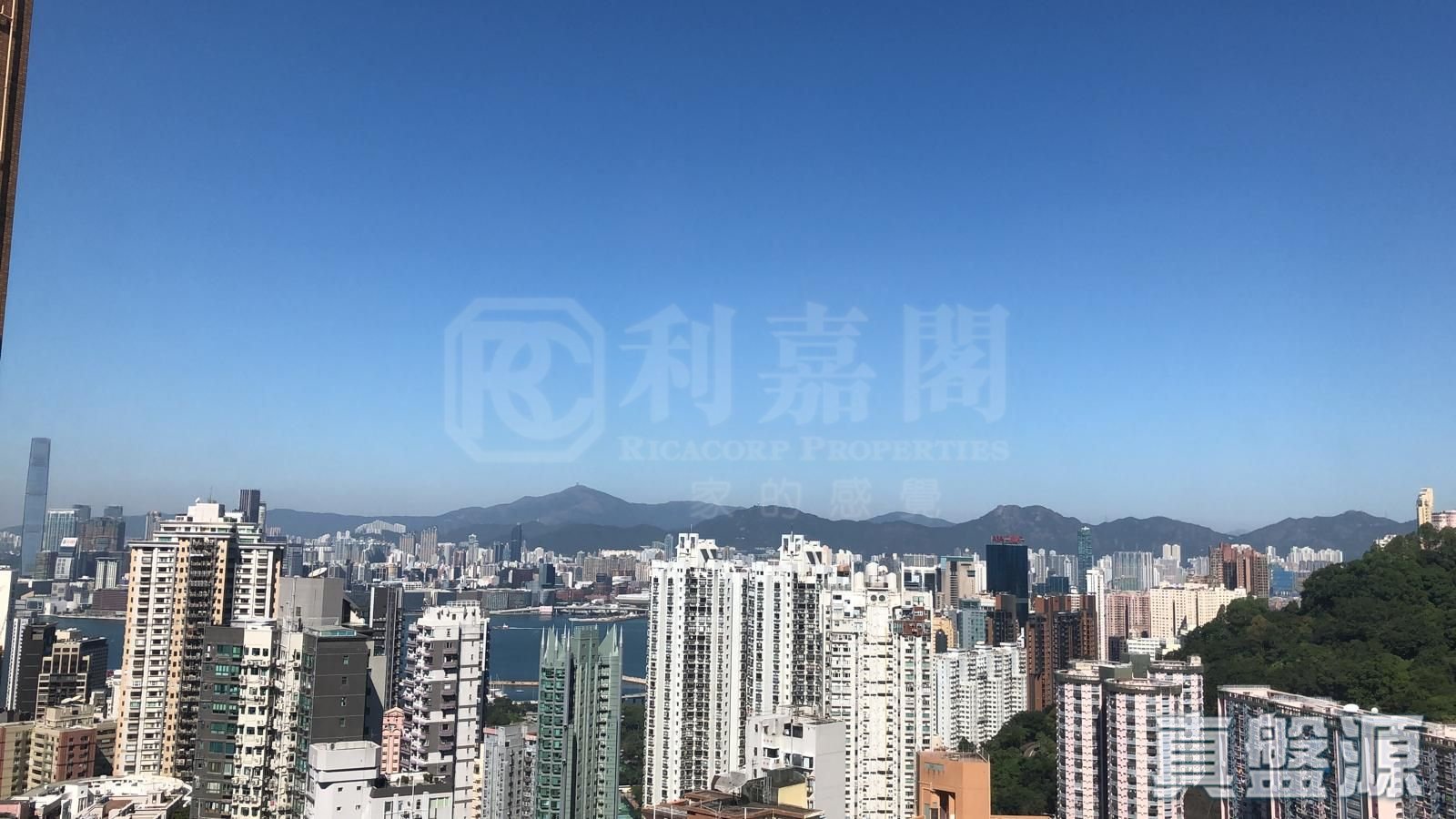 大坑台 B座 高層 07室 跑馬地/東半山