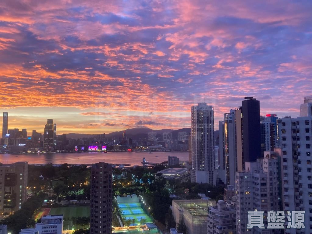 光明台 1座 B室 跑马地/东半山