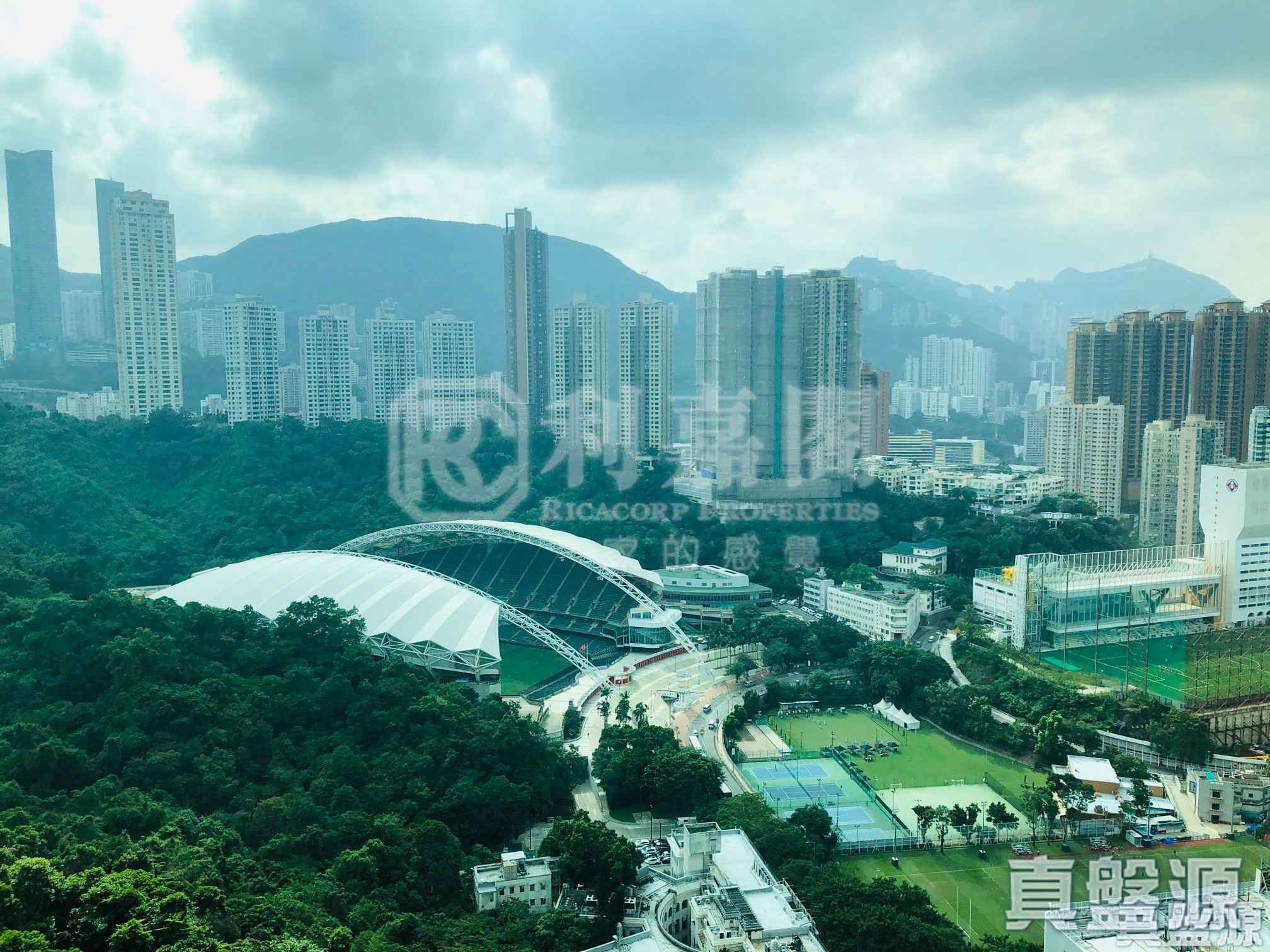 怡晴軒 高層 跑馬地/東半山