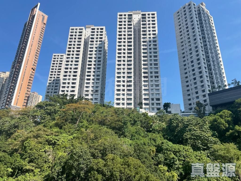SAN FRANCISCO TOWERS BLOCK B Medium Floor Zone Flat B4 Happy Valley/Mid-Levels East