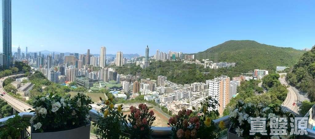 蔚豪苑 B座 低層 跑馬地/東半山