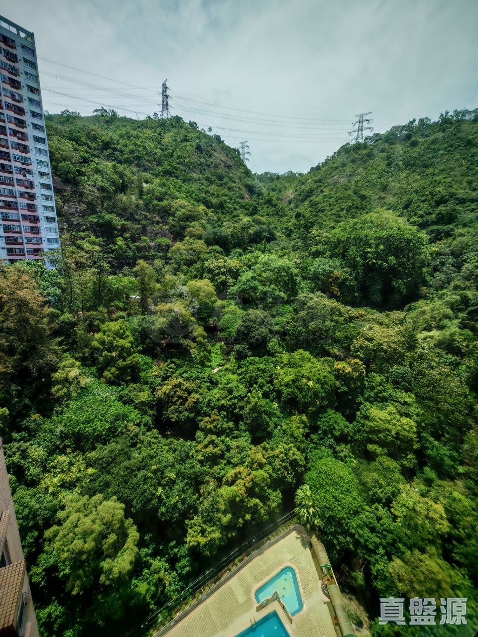 嘉翠園 2座 高層 D室 葵涌