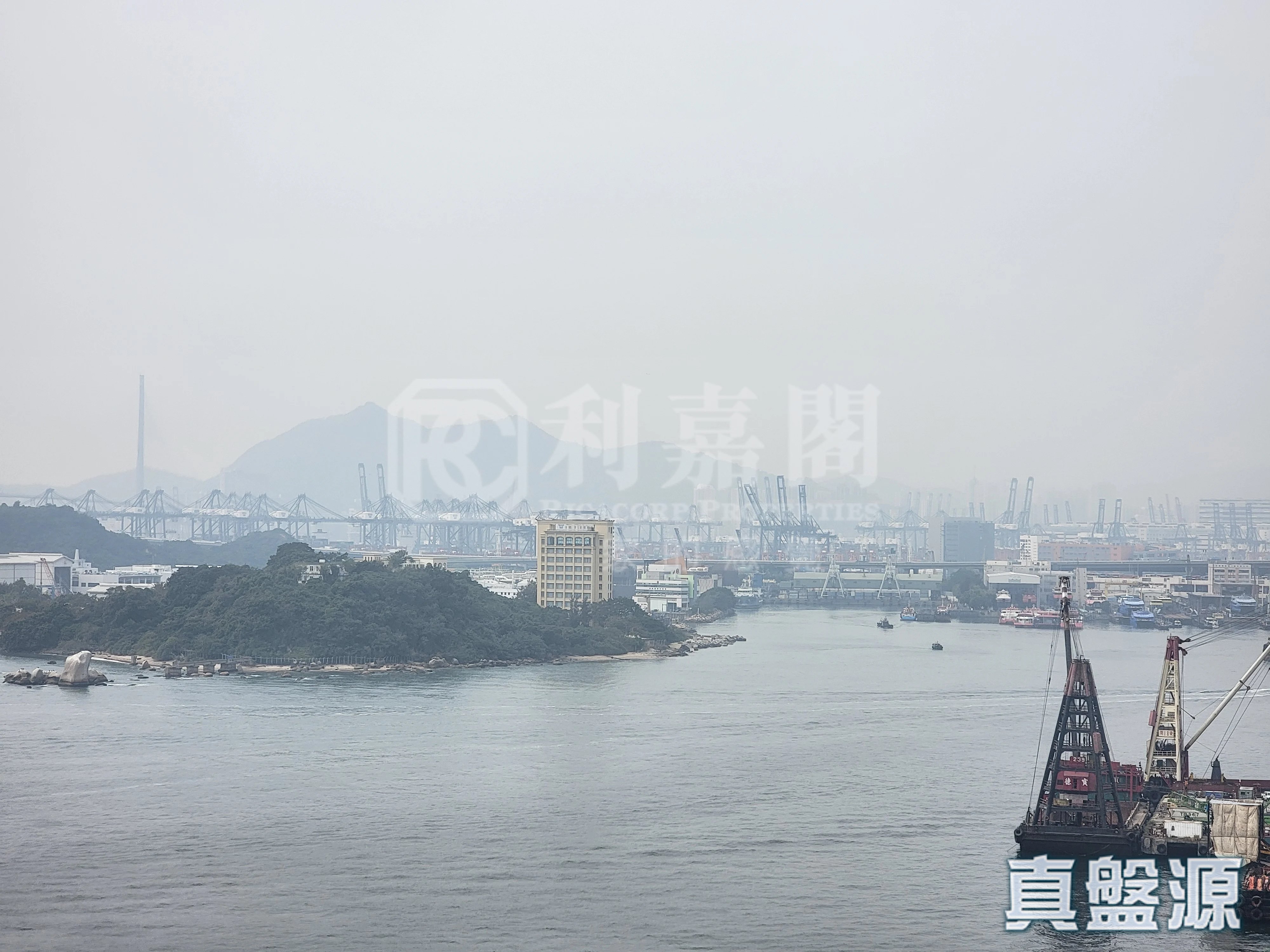 浪澄灣 3座 B室 奧運站/南昌