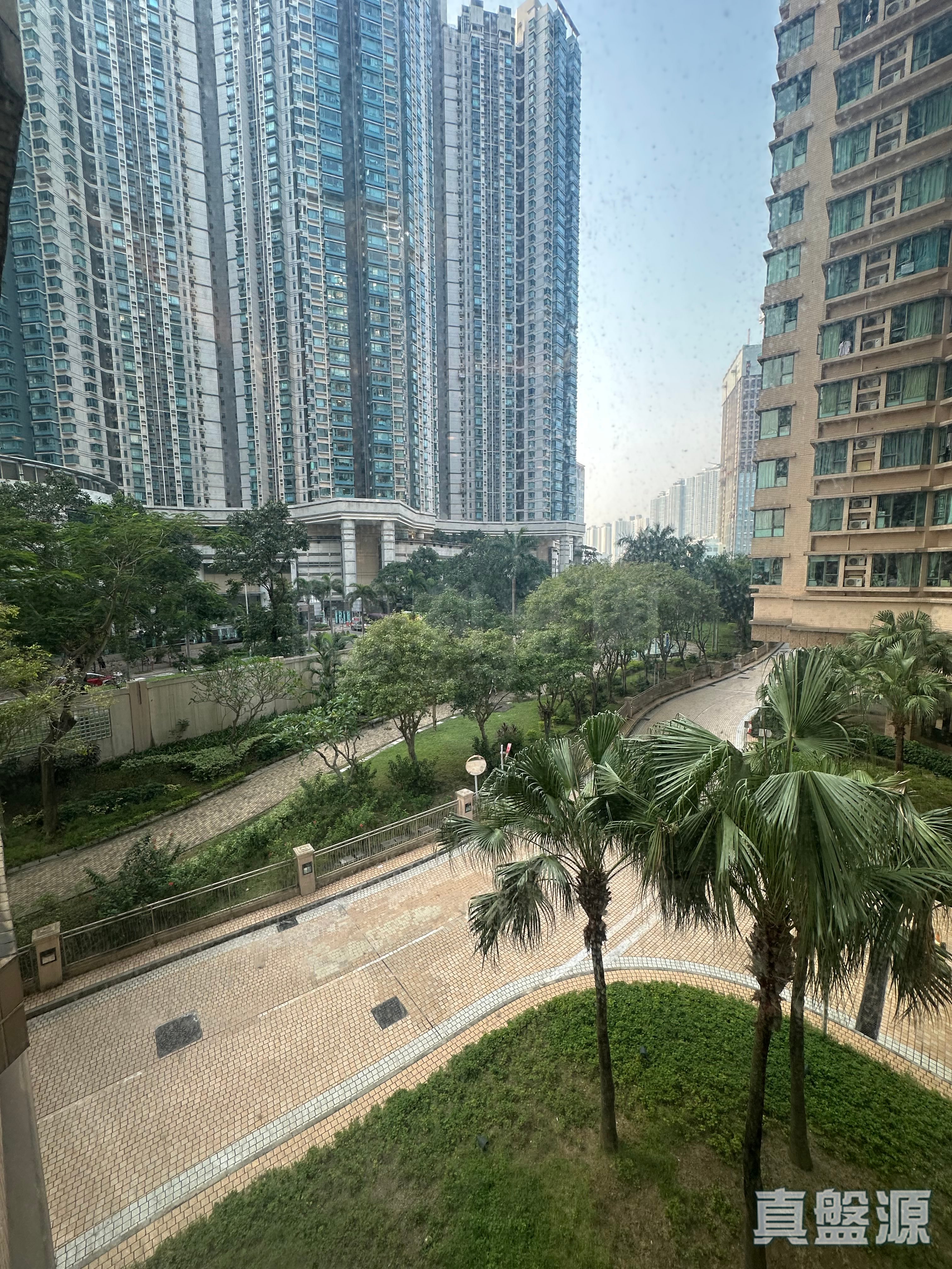 維港灣 5座 低層 B室 奧運站/南昌
