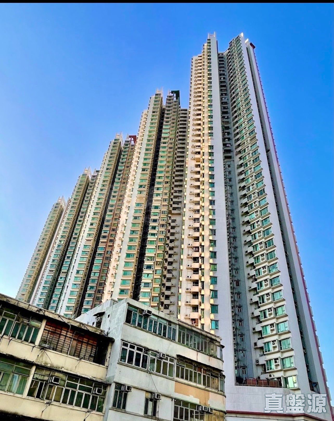 港湾豪庭 1期 6座 高层 D室 奥运站/南昌