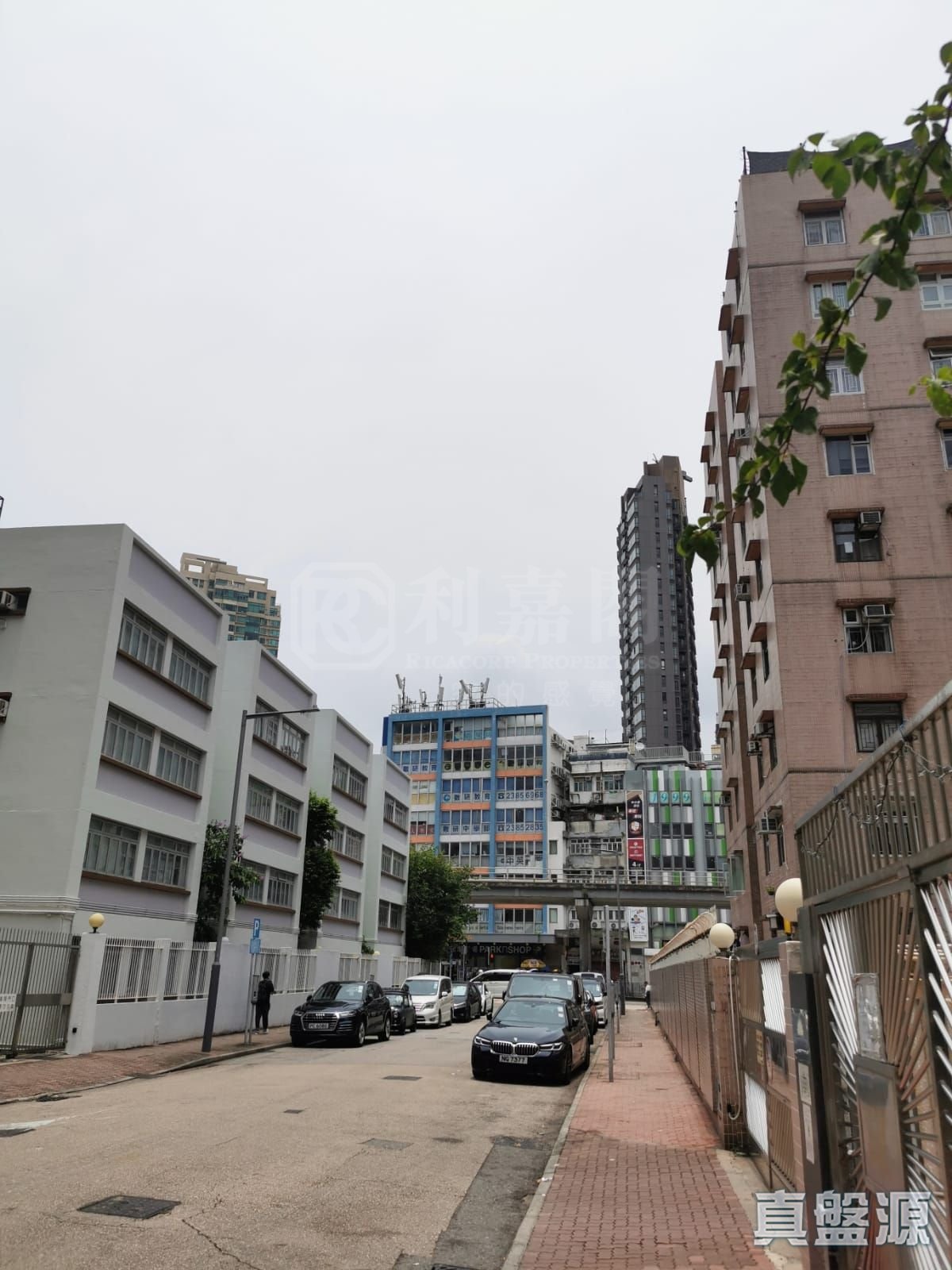 康麗花園  極高層 D室 何文田/京士柏/九龍塘/又一村