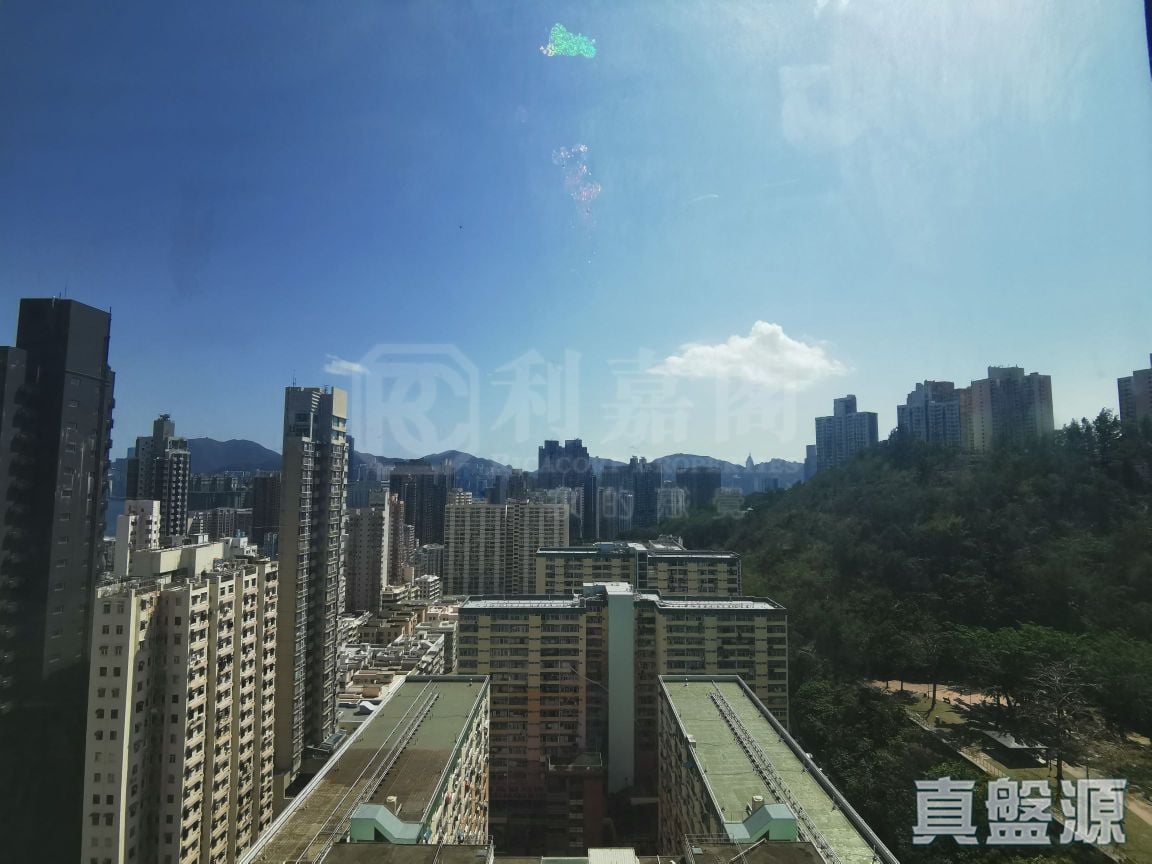 半山壹號 1期 半山徑28號 高層 何文田/京士柏/九龍塘/又一村