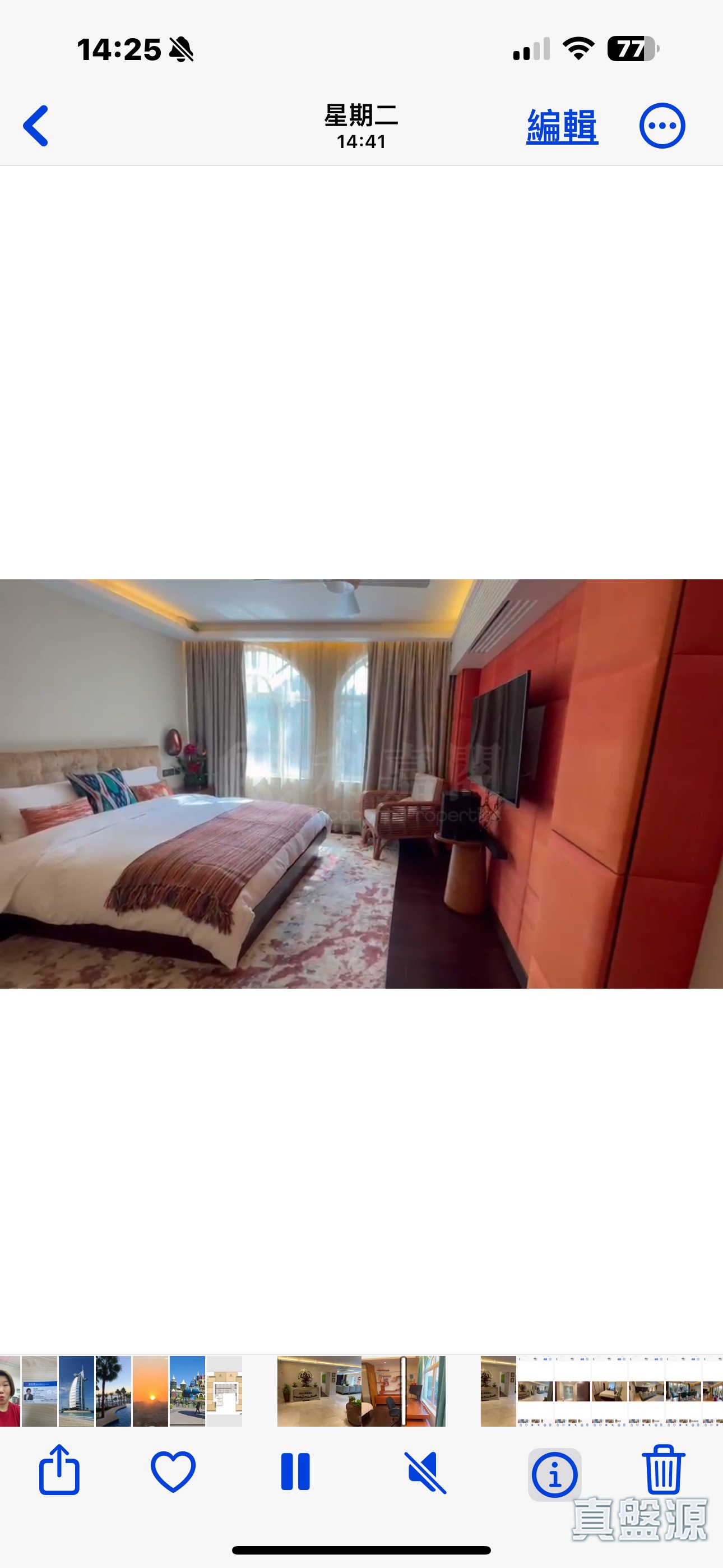 CASA PINO 何文田/京士柏/九龍塘/又一村